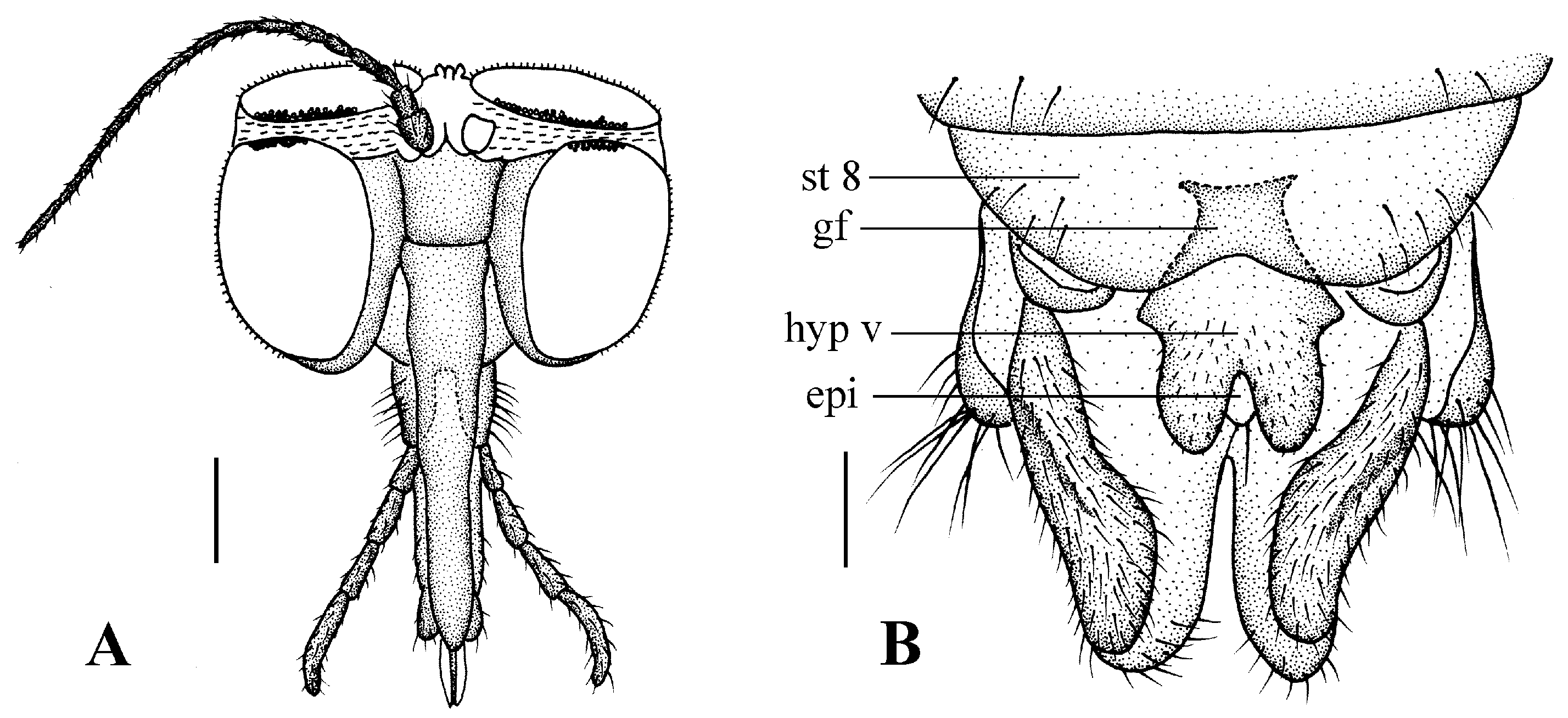 Insects 13 00794 g004 550