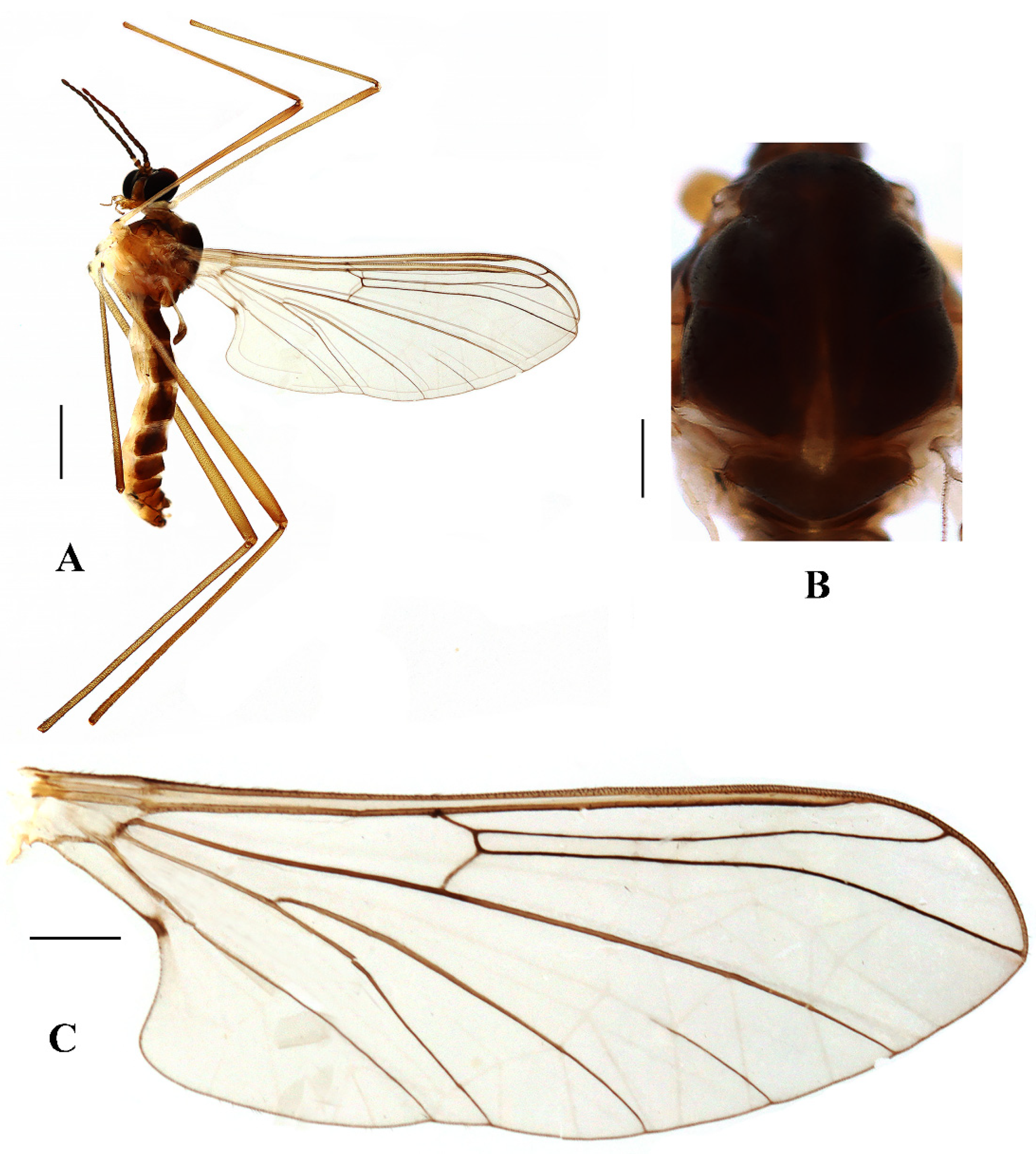 Insects 13 00794 g005 550