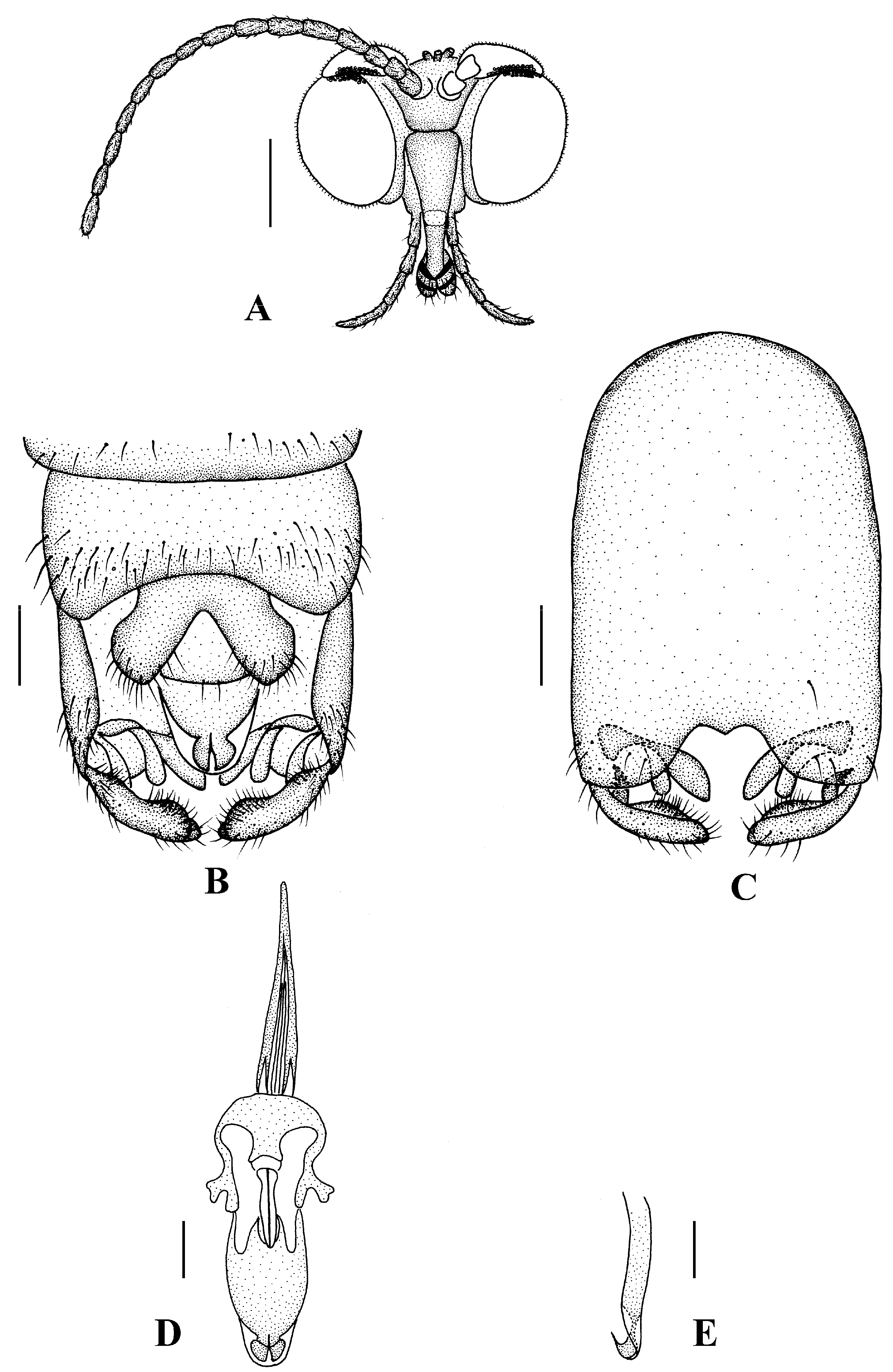 Insects 13 00794 g006 550