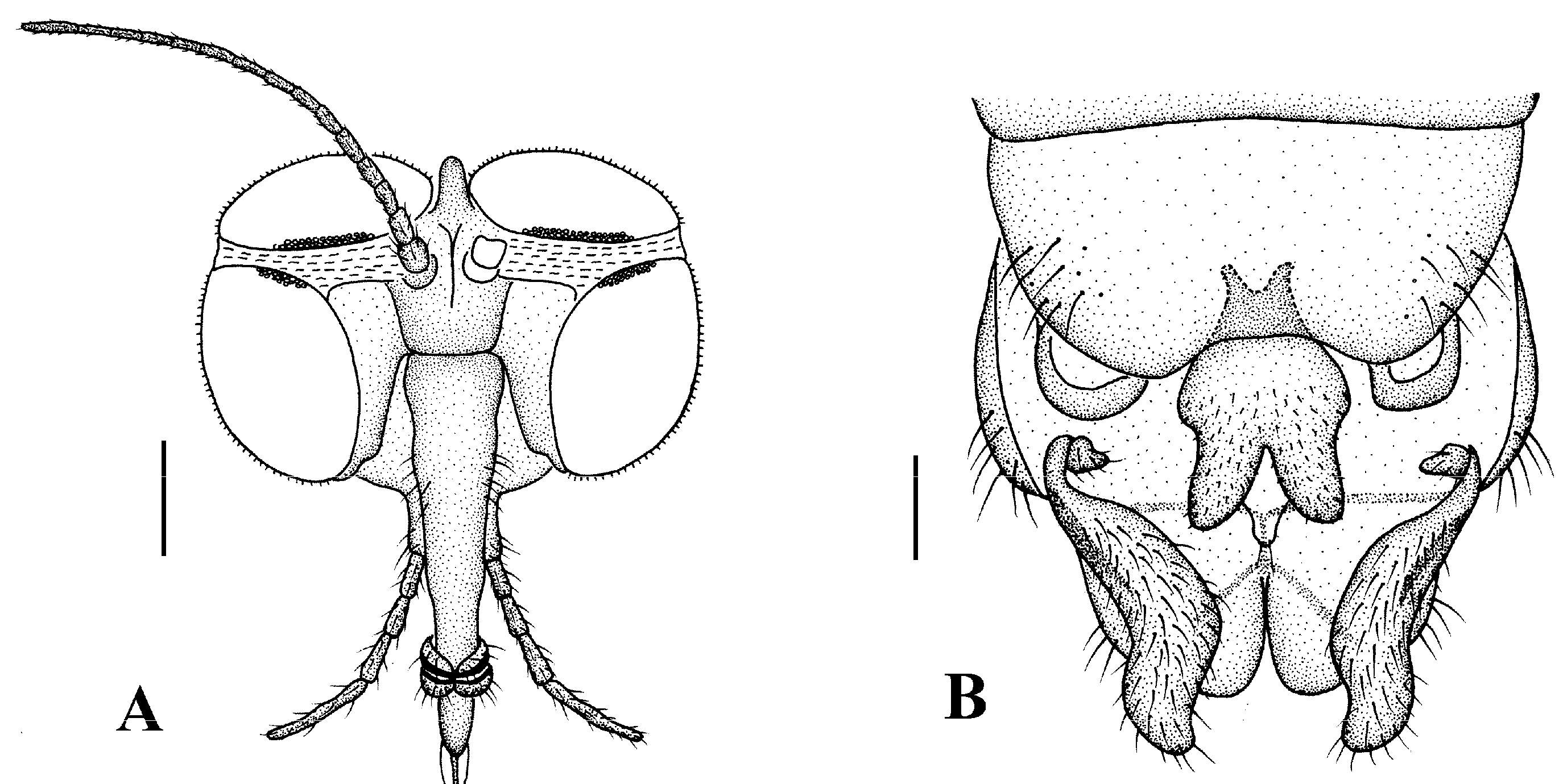 Insects 13 00794 g007 550