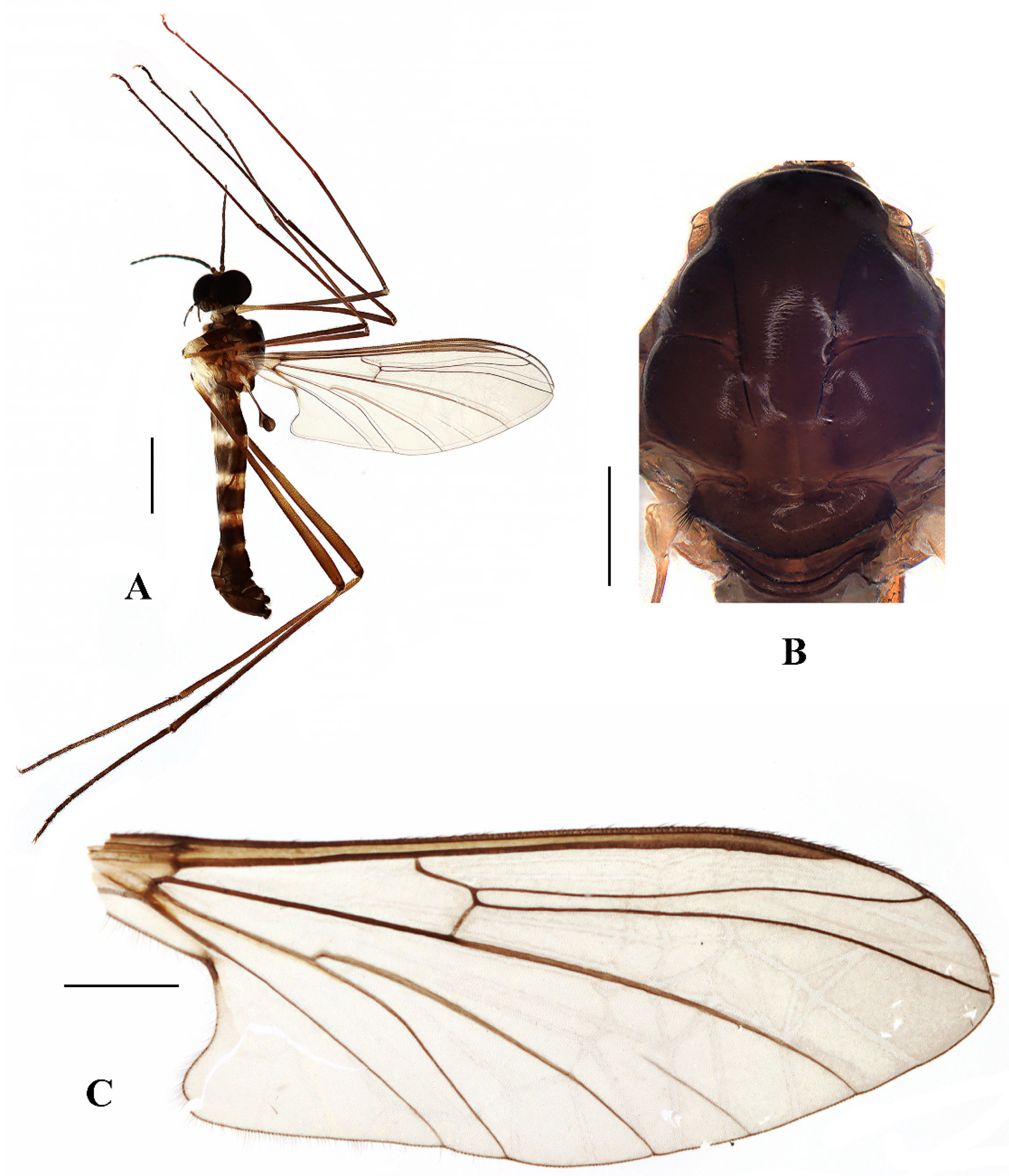 Insects 13 00794 g008 550