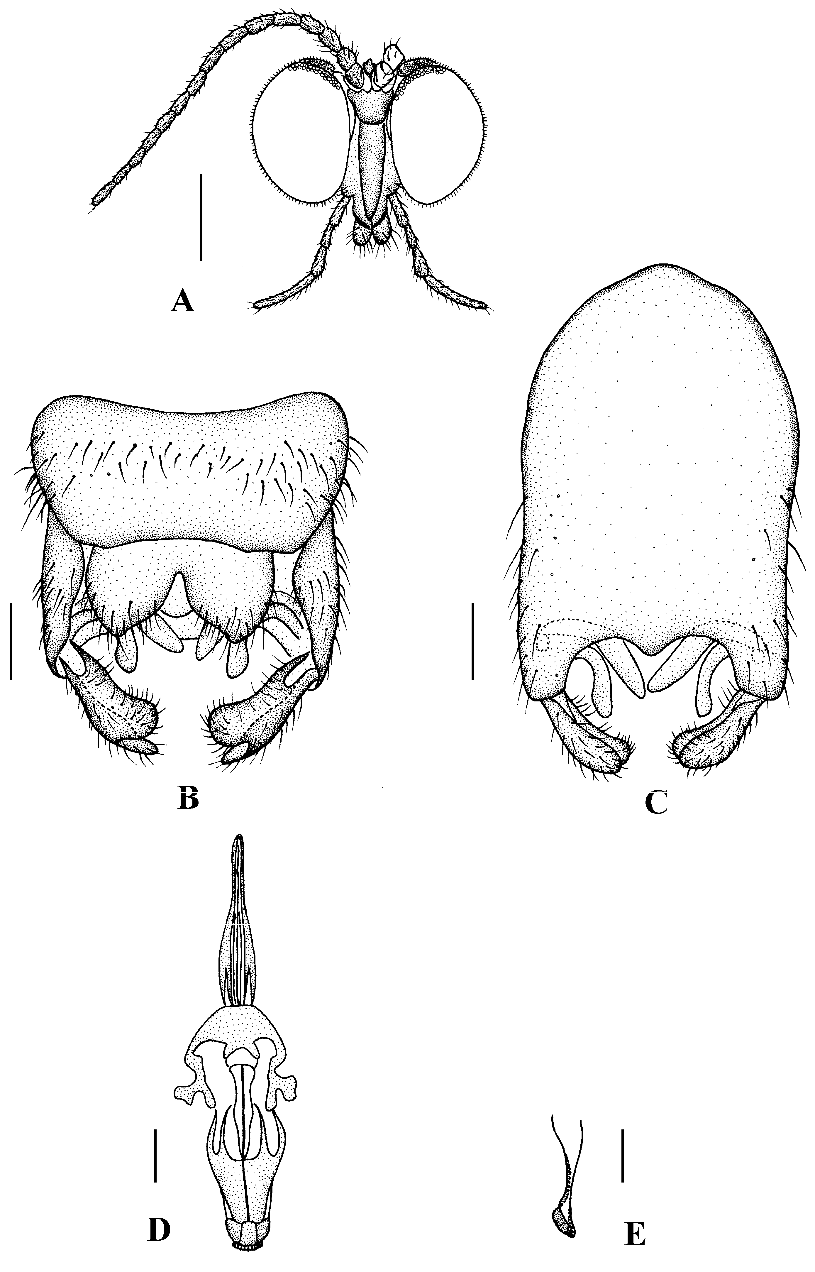 Insects 13 00794 g009 550
