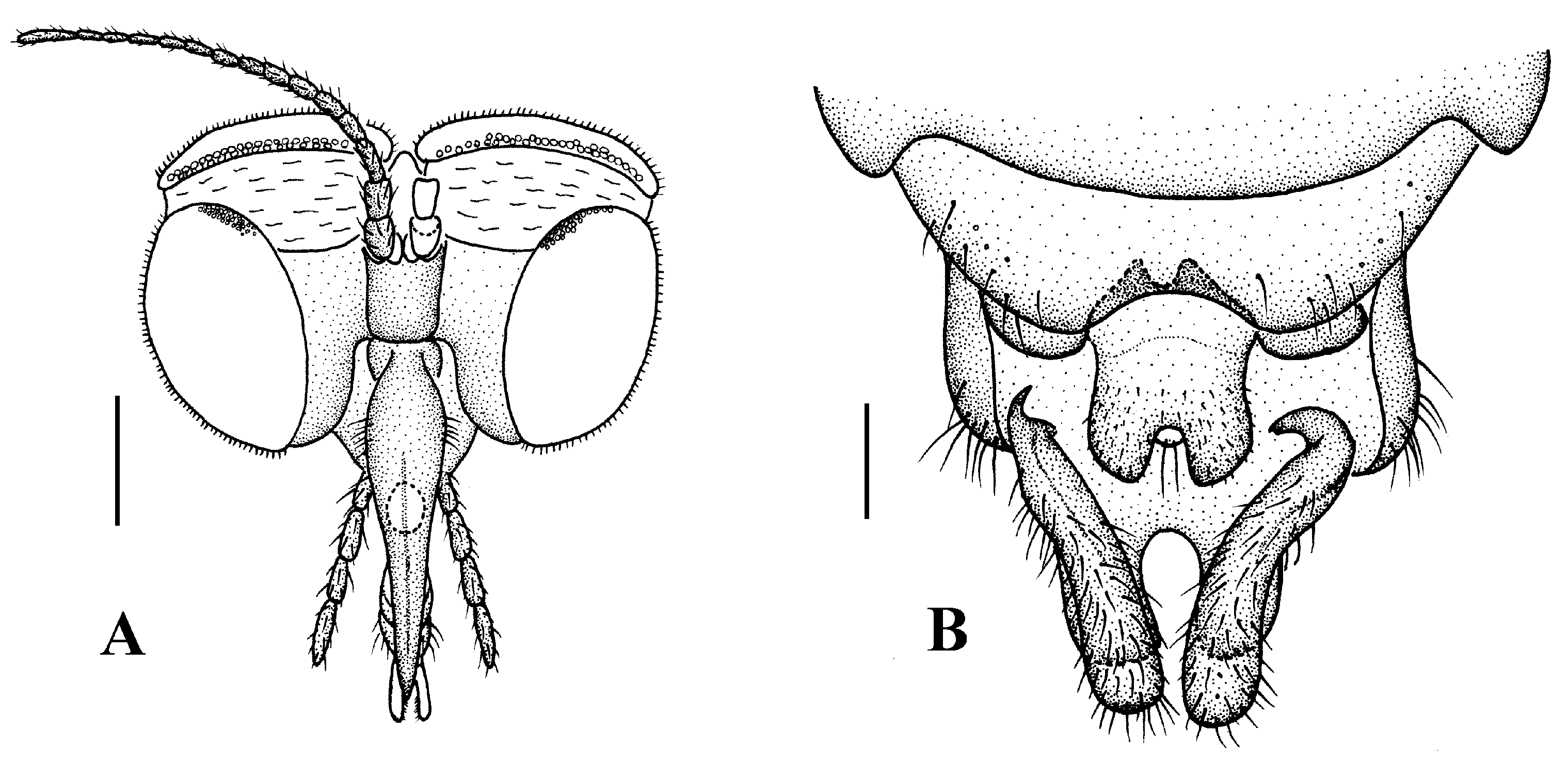 Insects 13 00794 g010 550