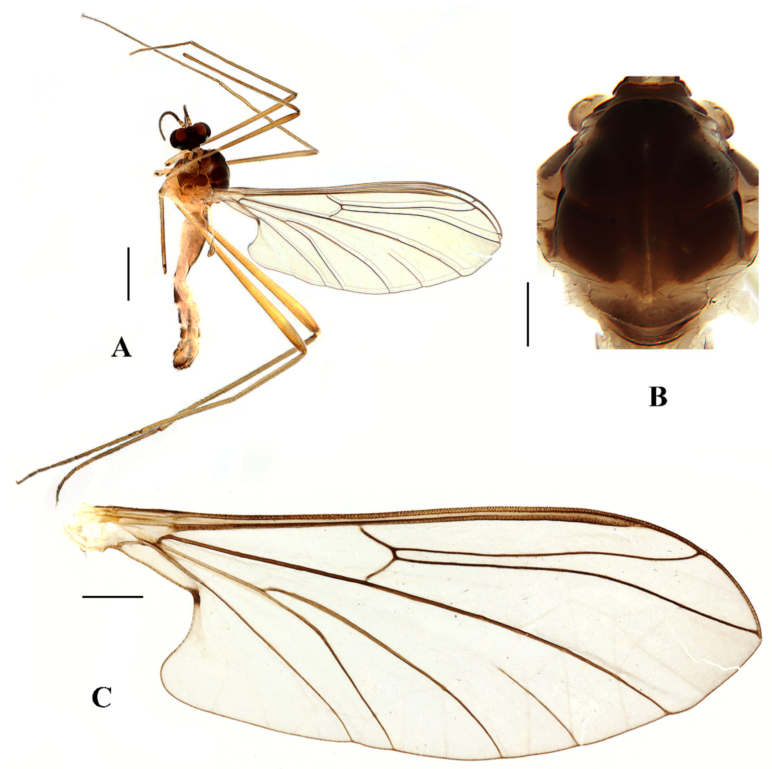 Insects 13 00794 g011 550