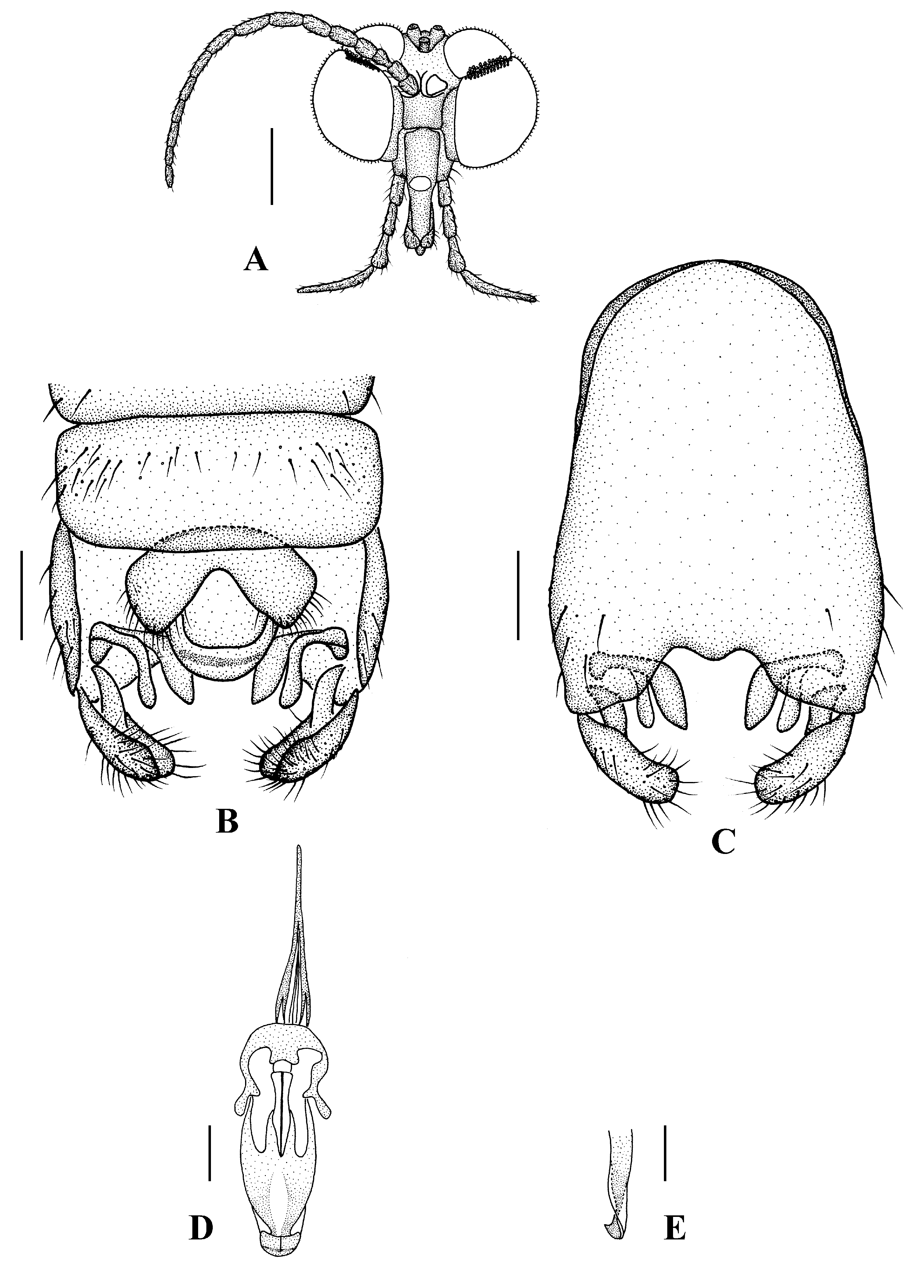 Insects 13 00794 g012 550