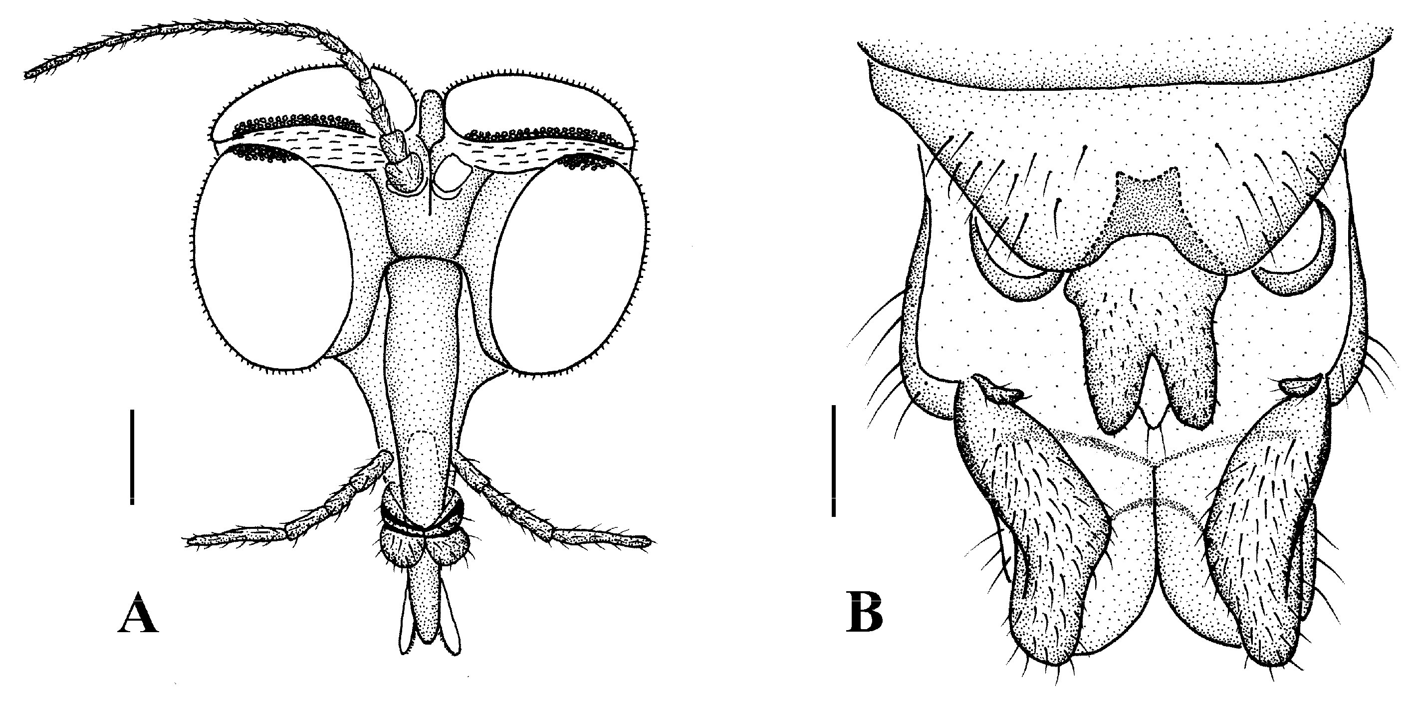 Insects 13 00794 g013 550