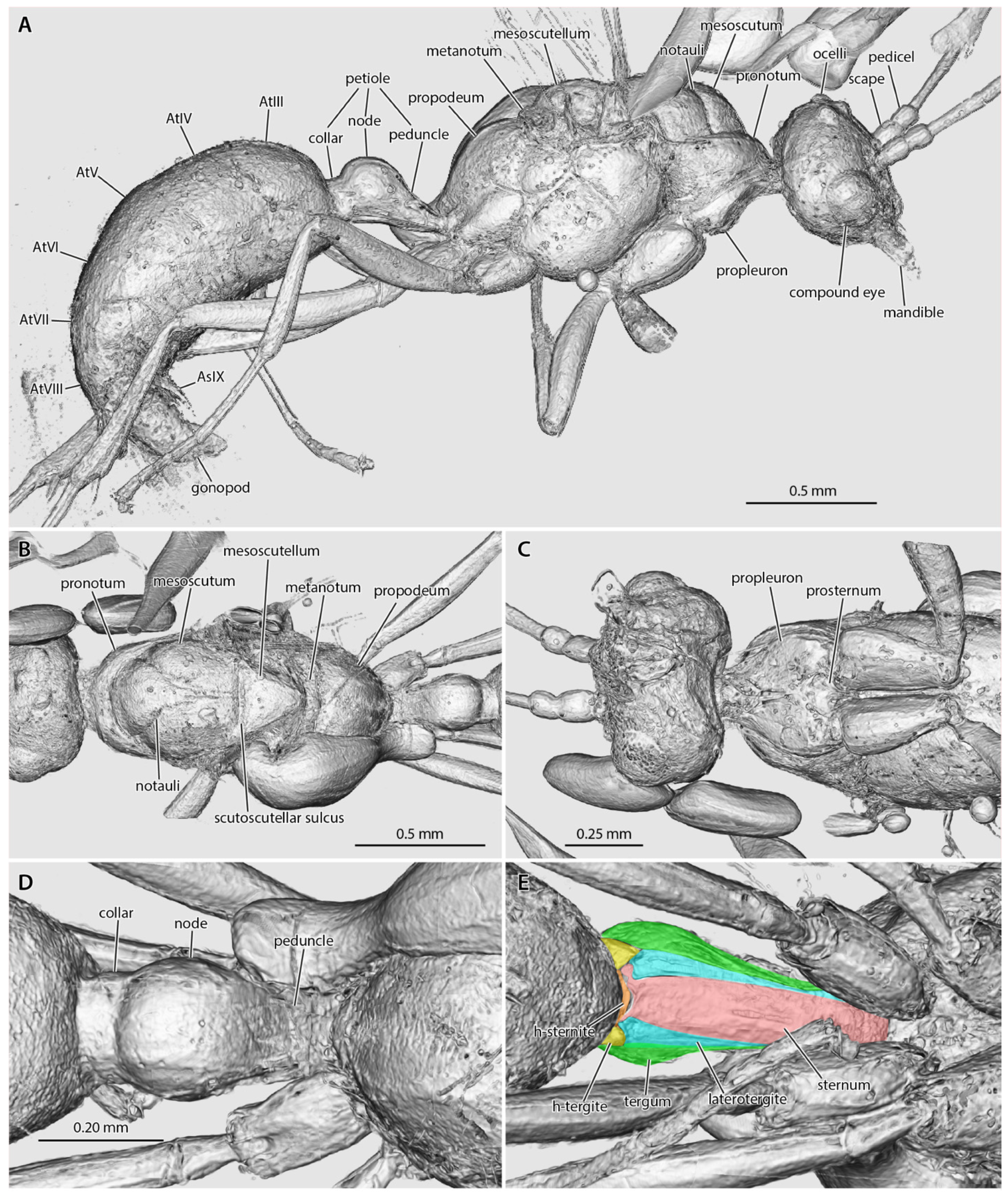 Insects 13 00796 g003 550