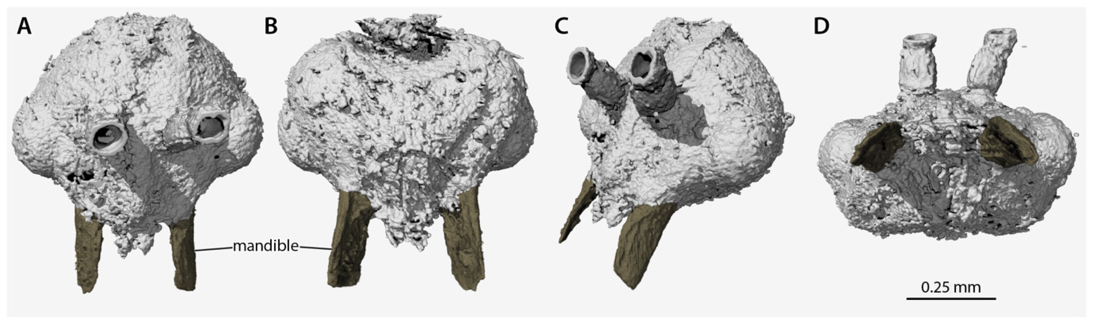 Insects 13 00796 g004 550