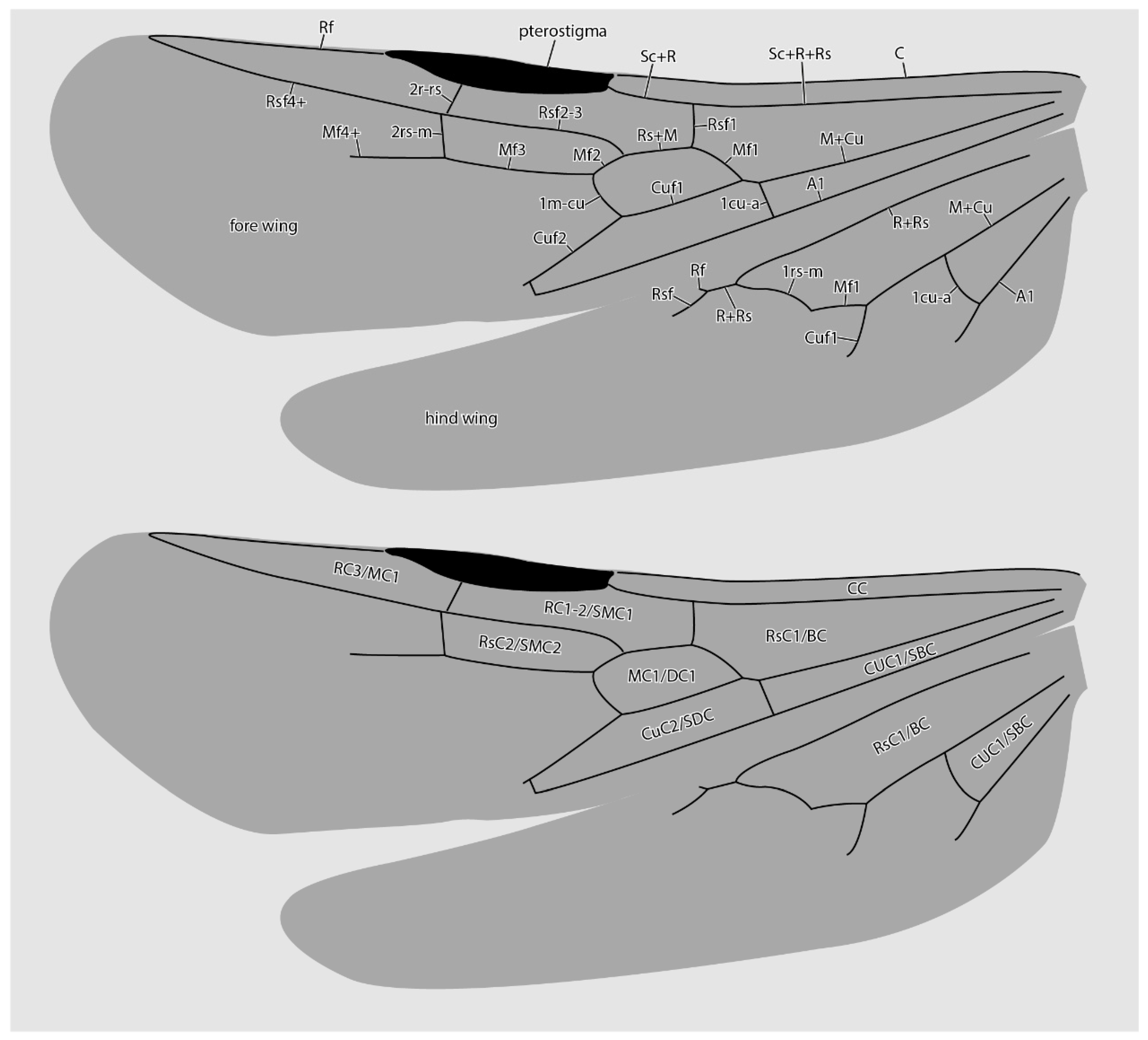 Insects 13 00796 g005 550