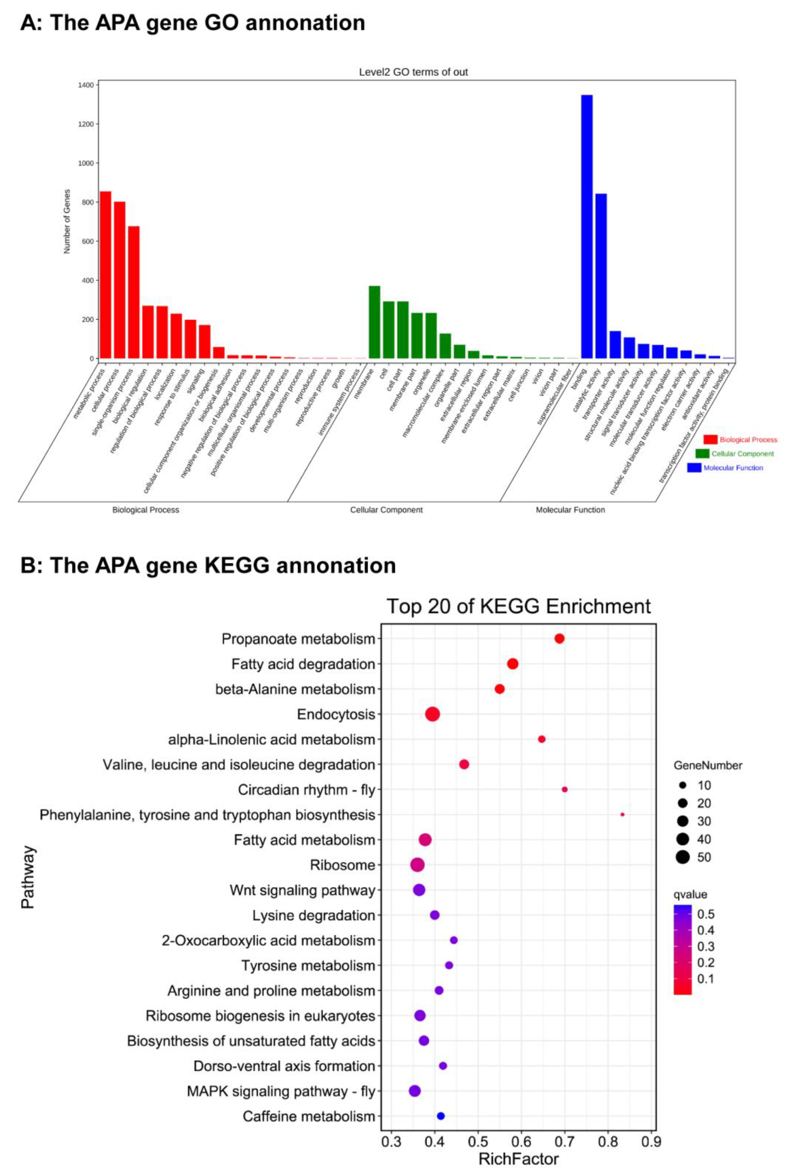 Insects 13 00803 g004 Insects 13 00803 g004