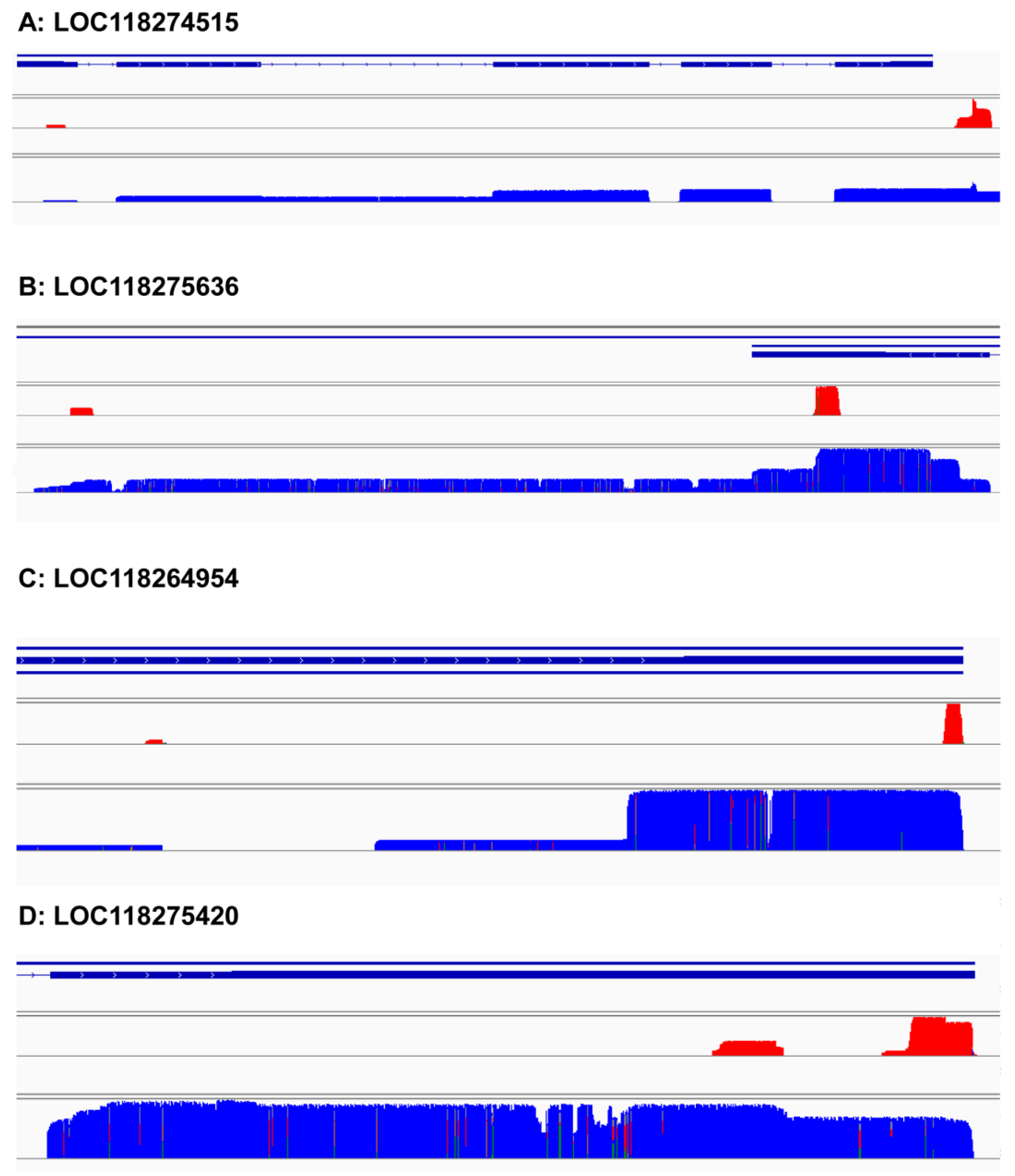 Insects 13 00803 g005 Insects 13 00803 g005