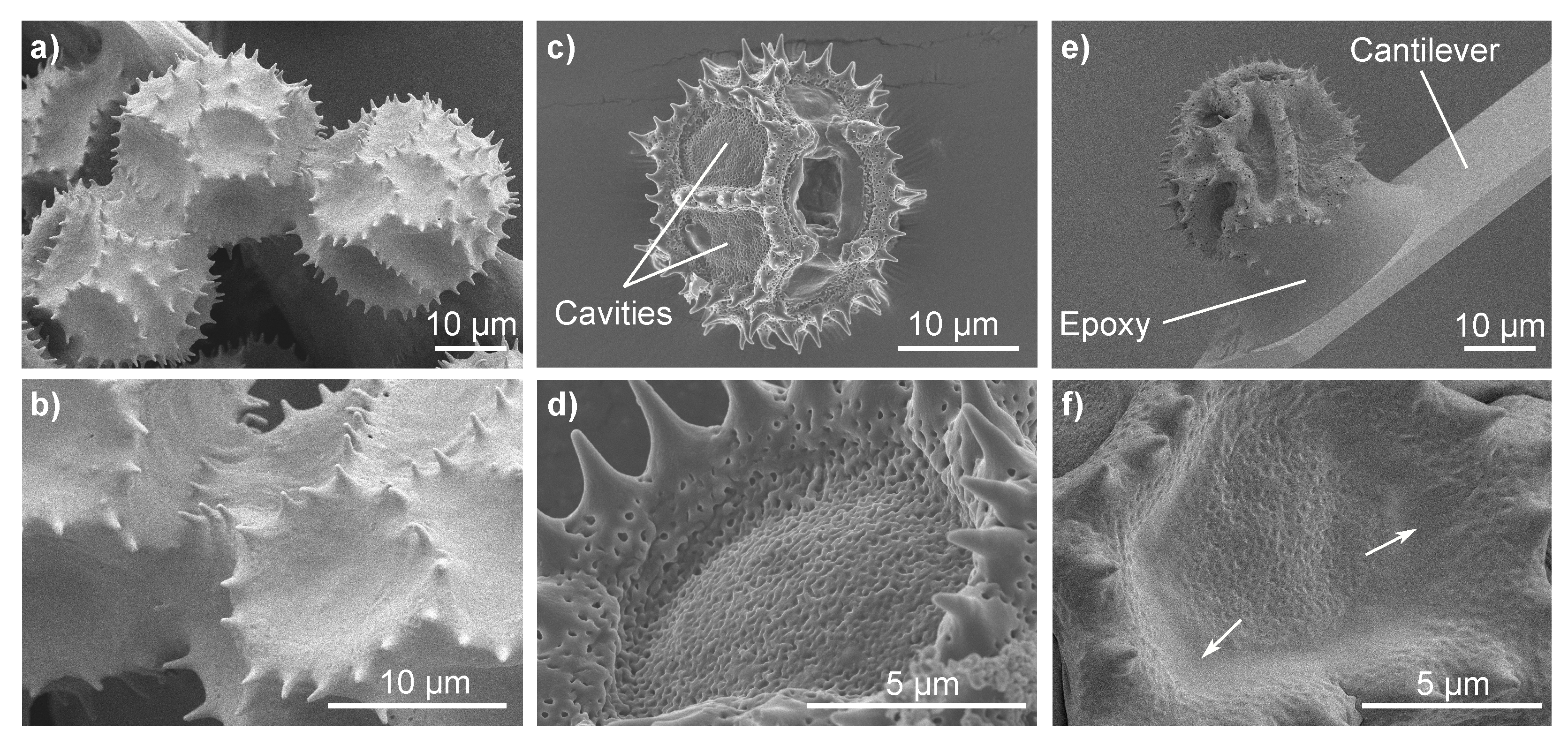 Insects 13 00811 g001 550