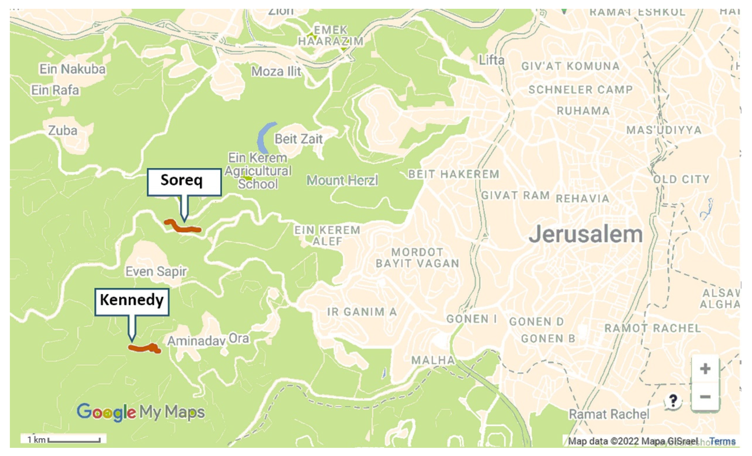 Insects 13 00816 g001