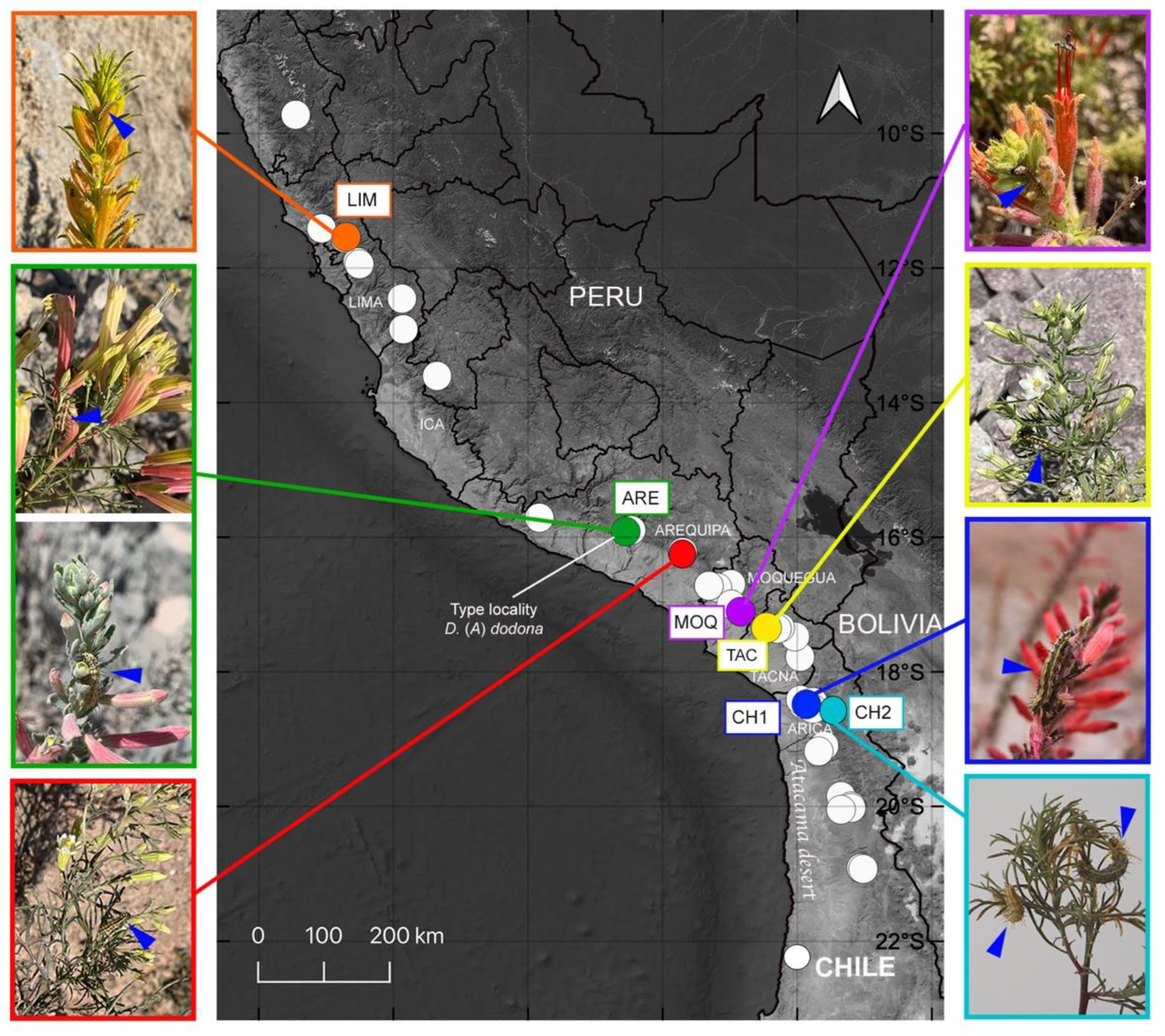 Insects 13 00819 g001 Insects 13 00819 g001