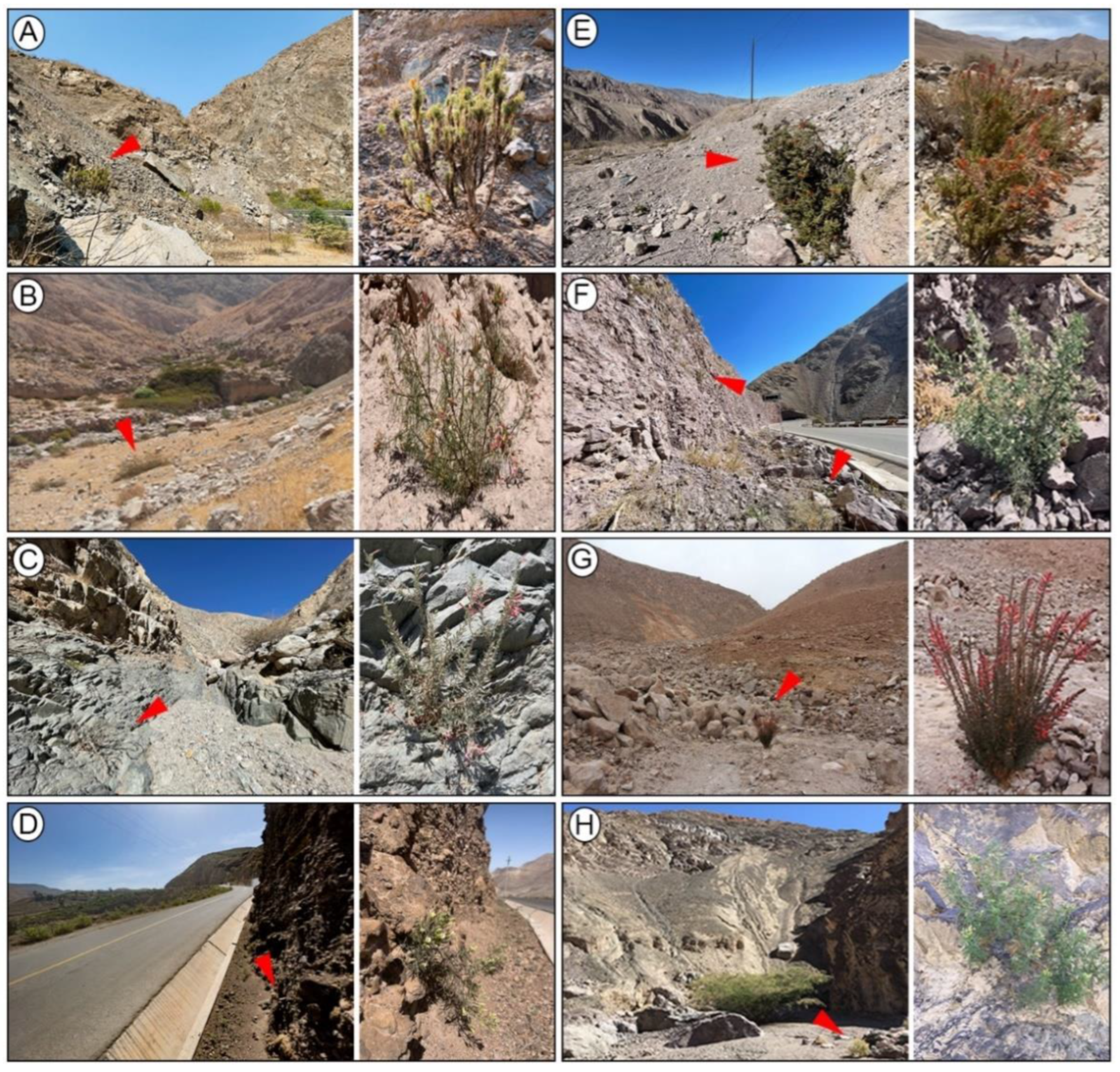 Insects 13 00819 g002 Insects 13 00819 g002