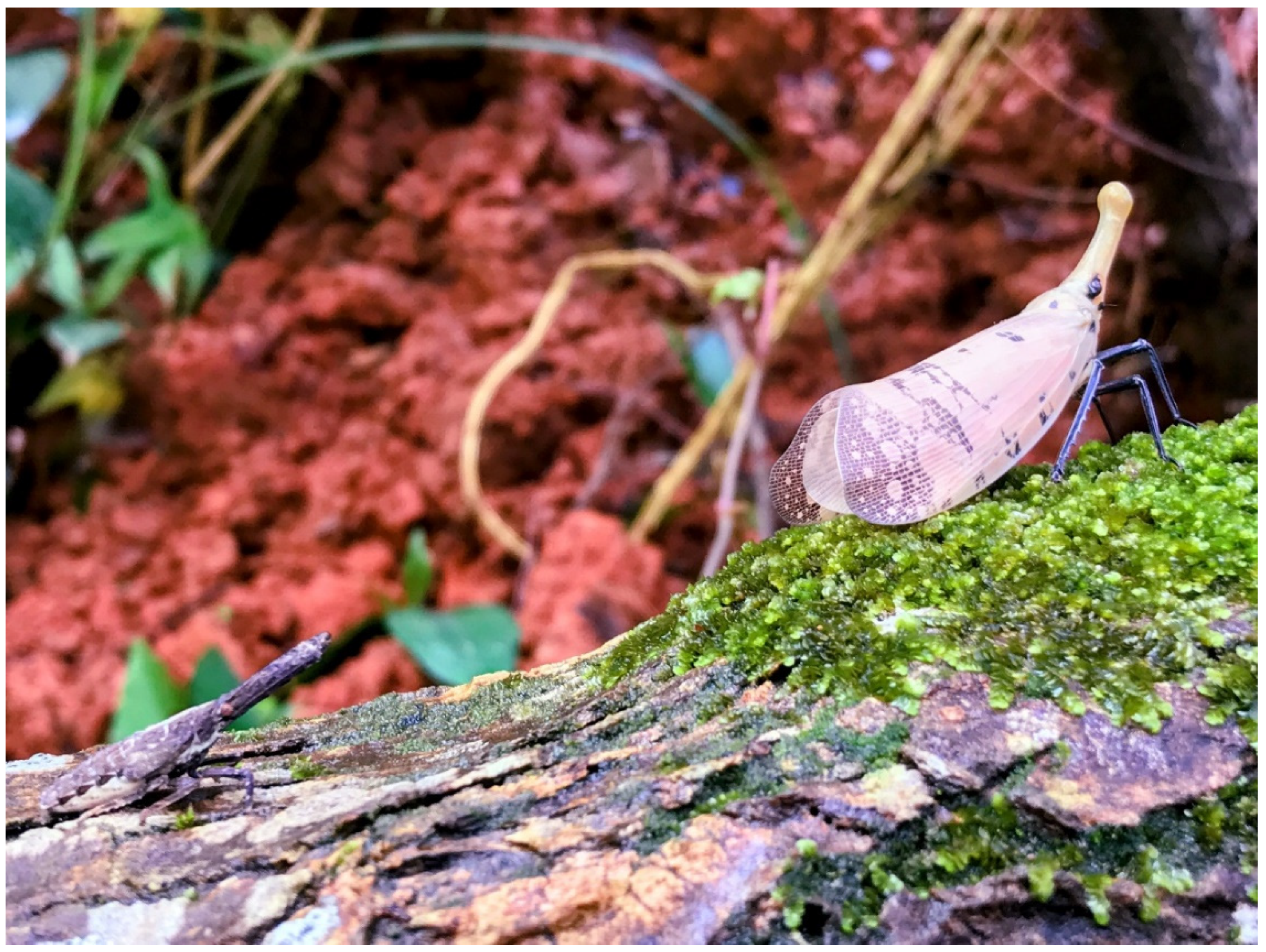 Insects 13 00826 g003 550