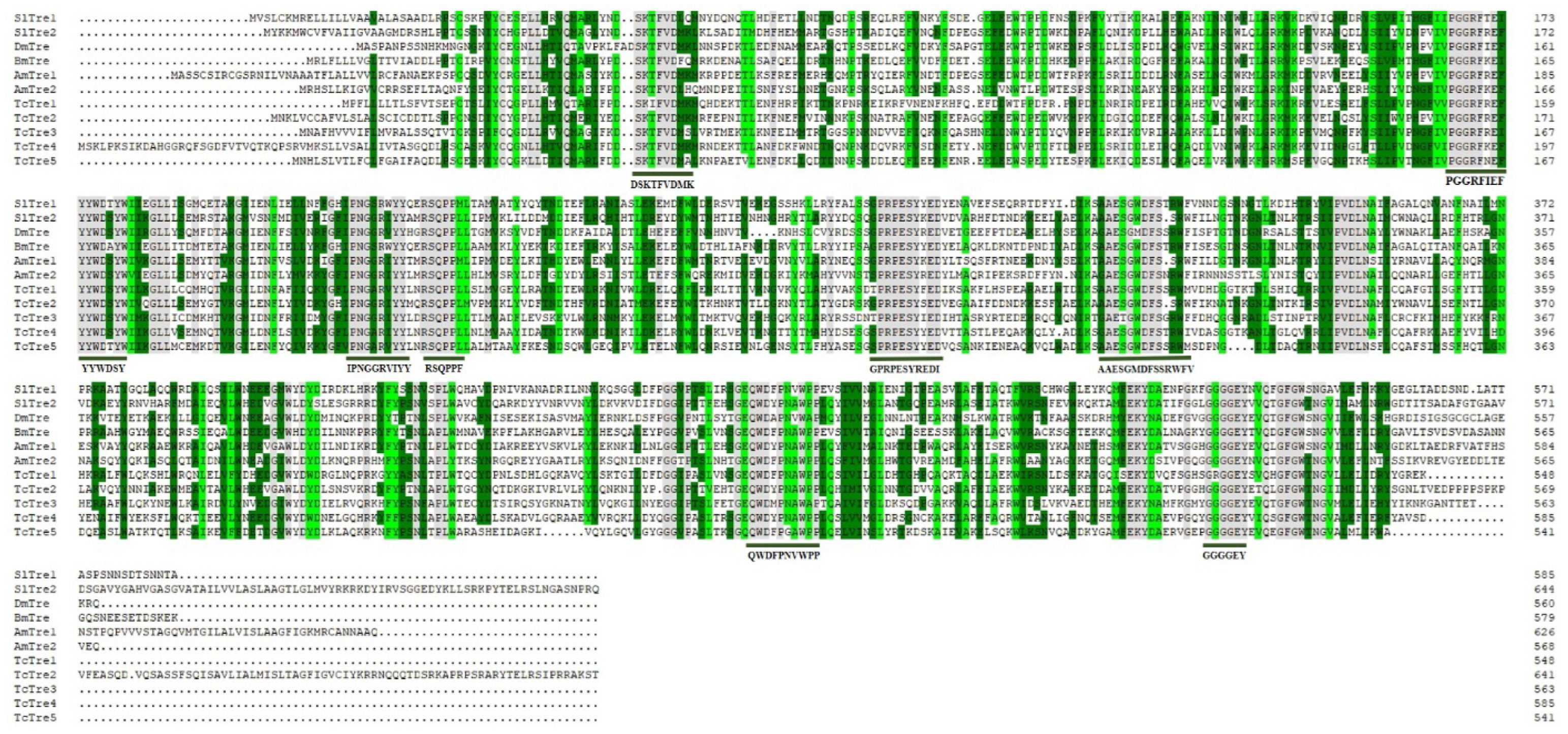 Insects 13 00833 g001 550