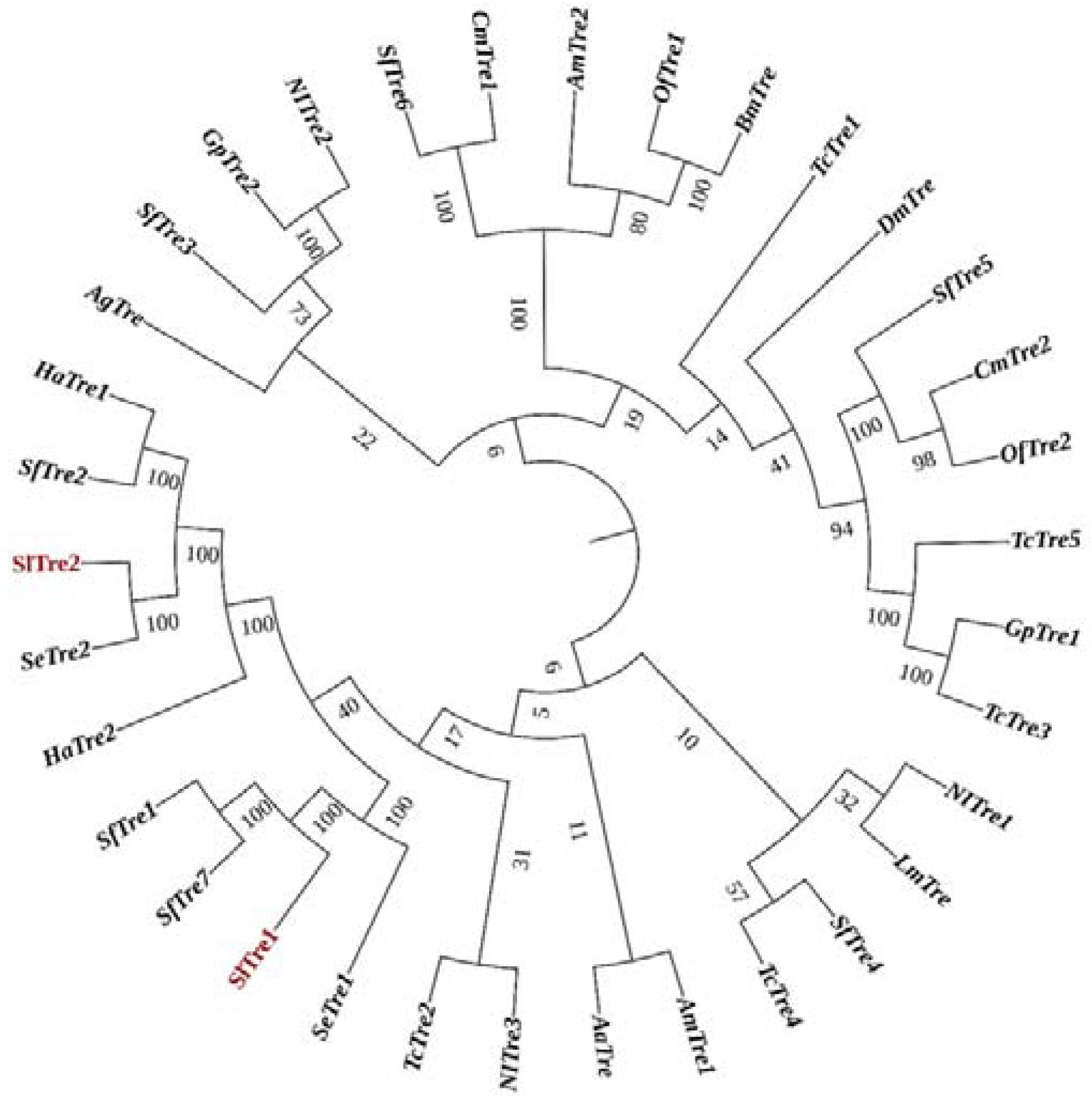 Insects 13 00833 g002 550