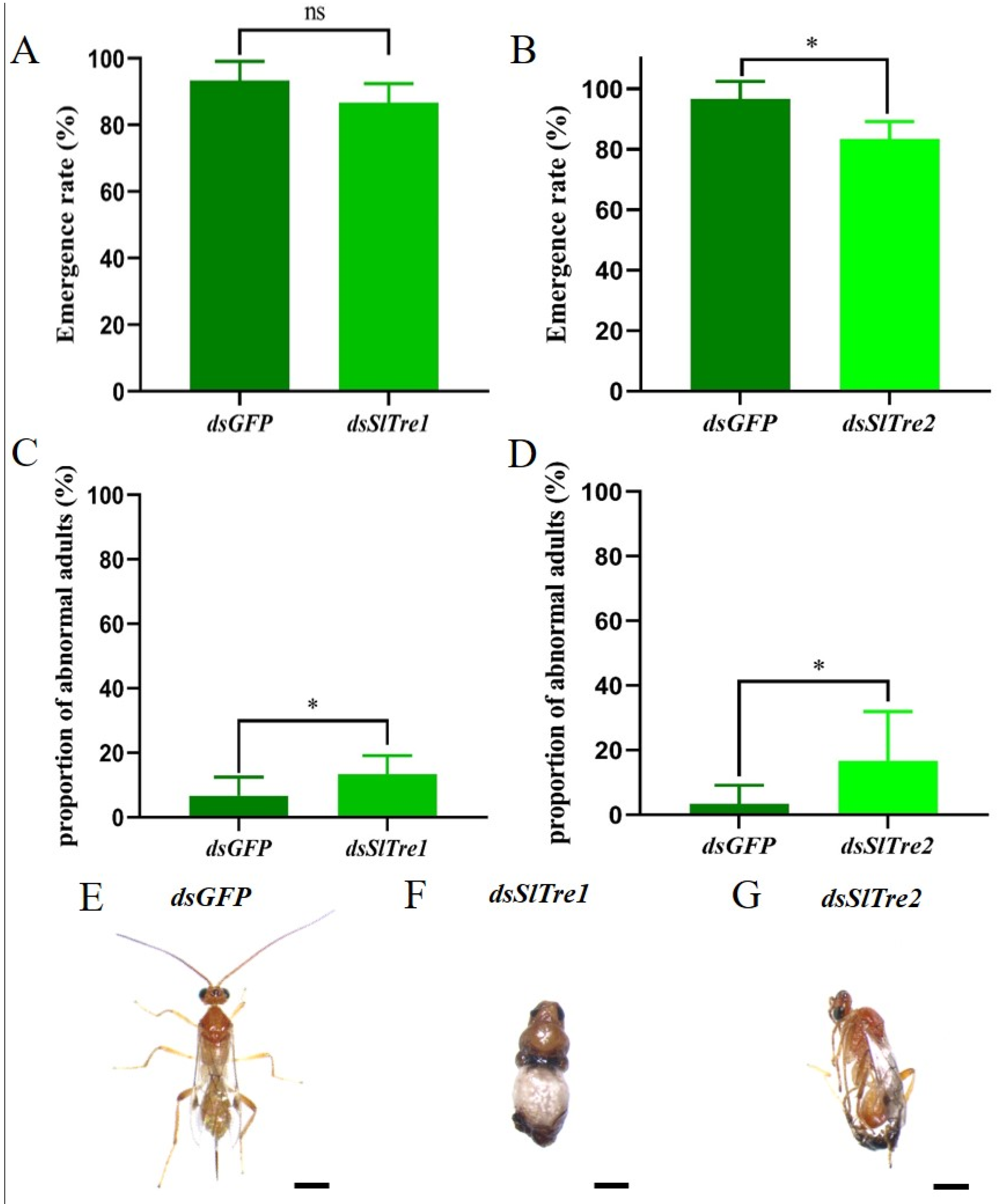 Insects 13 00833 g008 550