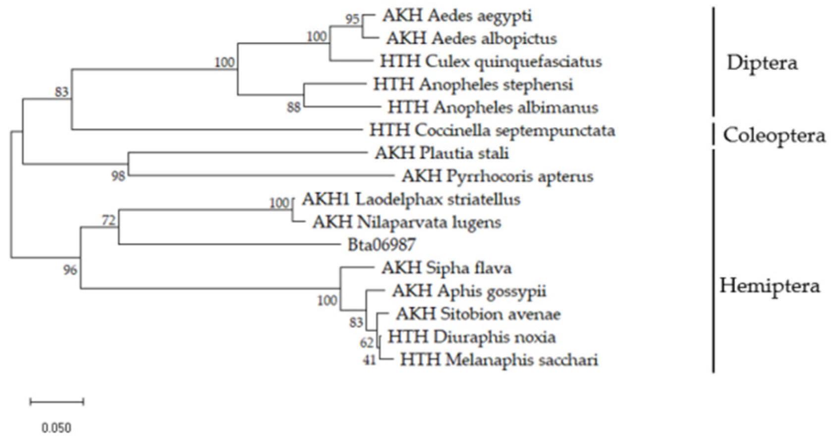 Insects 13 00834 g001