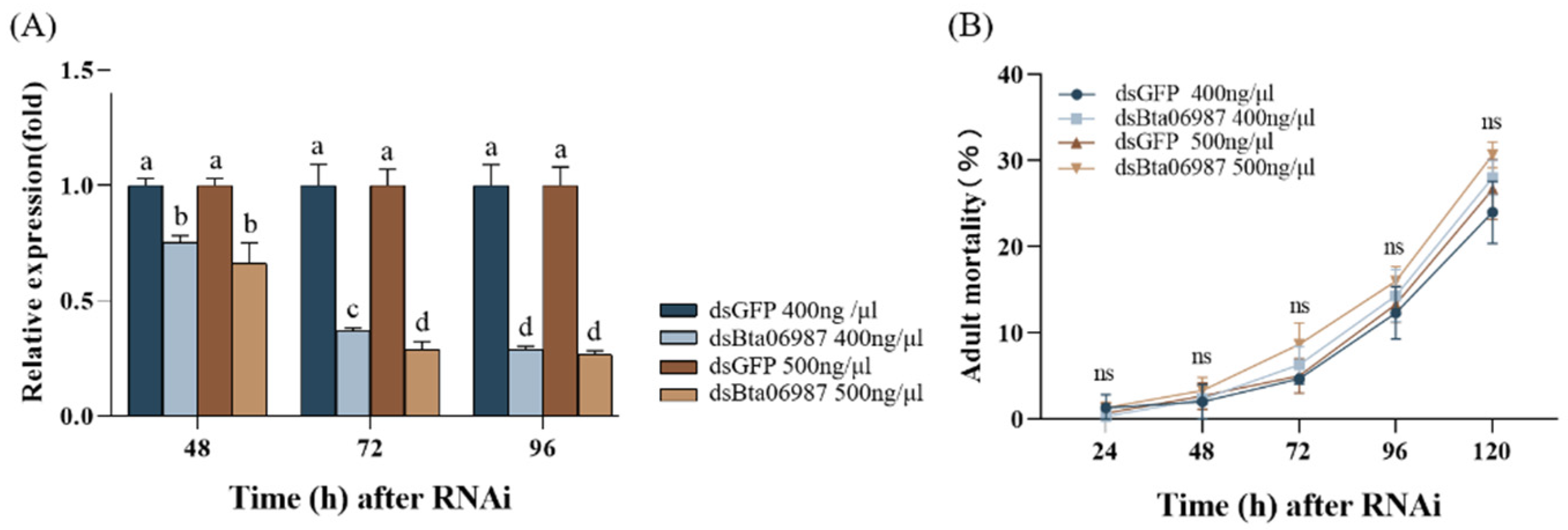 Insects 13 00834 g003