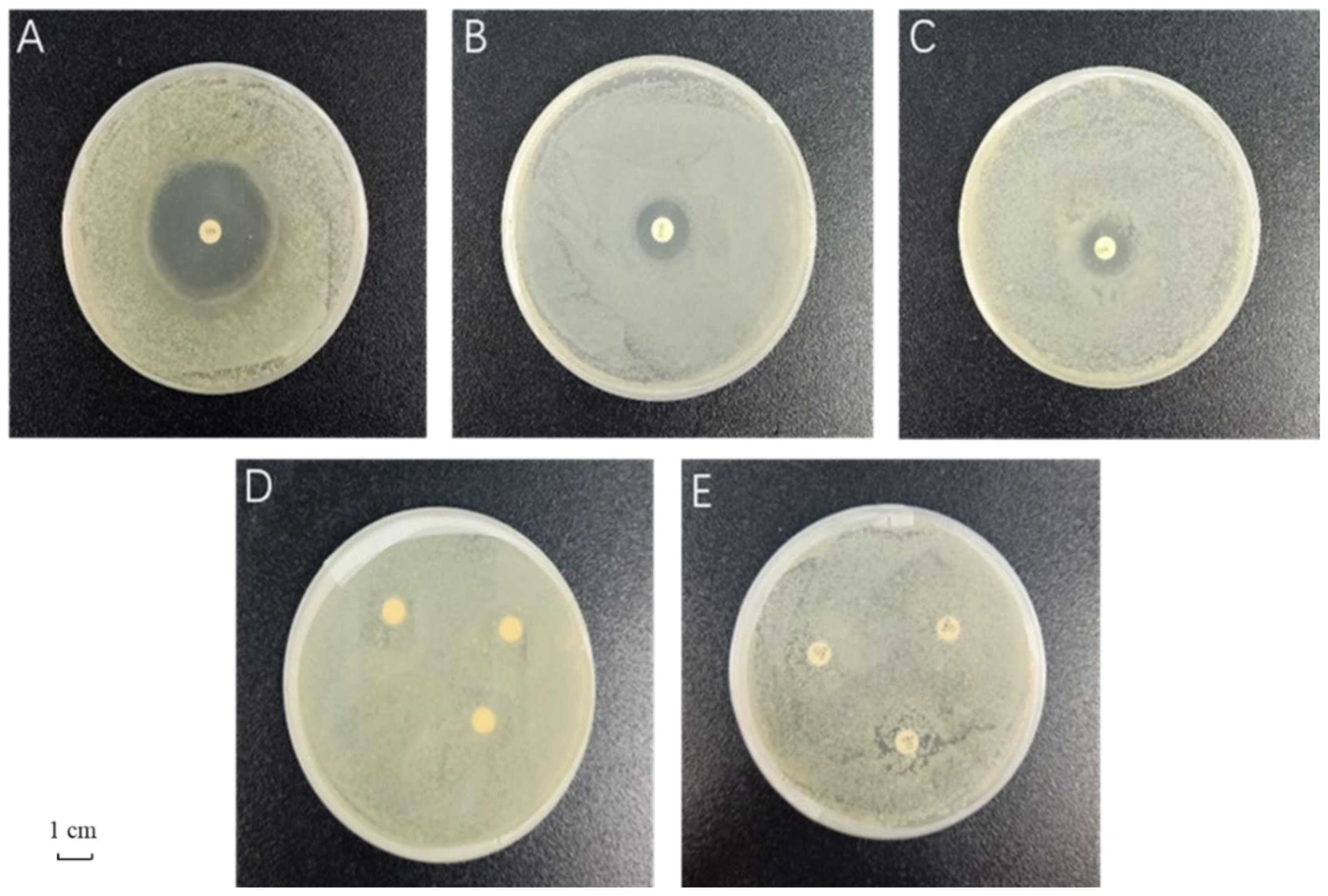 Insects 13 00838 g001 550