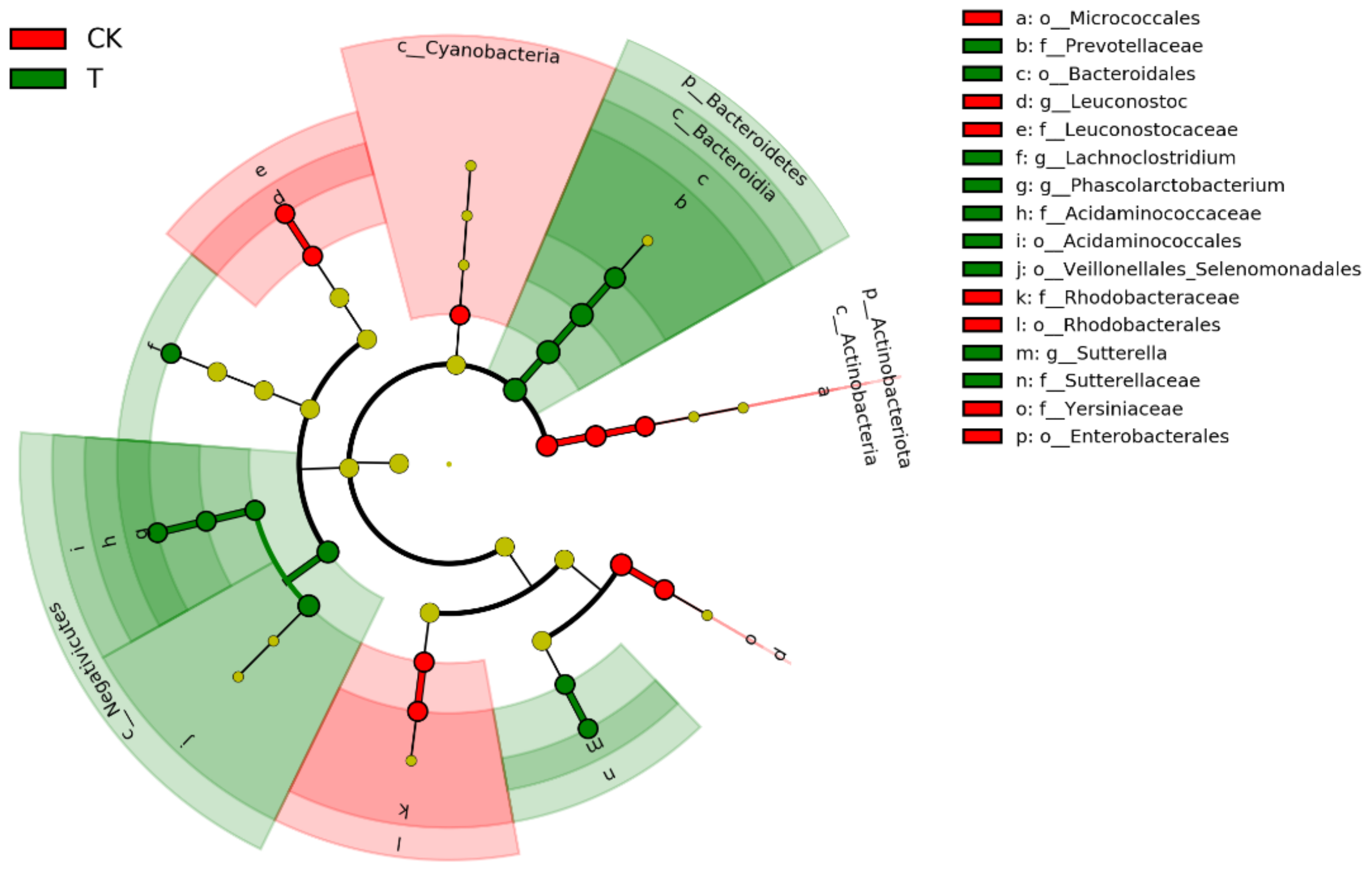Insects 13 00838 g005 550