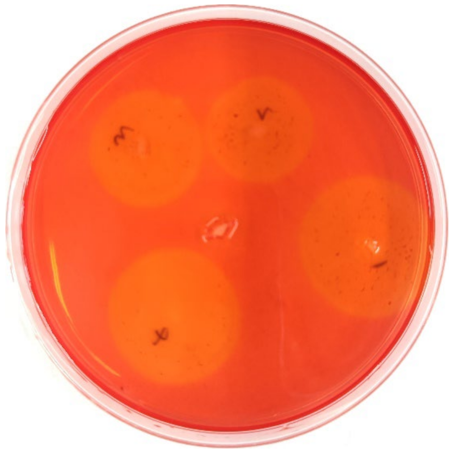 Insects 13 00838 g007 550