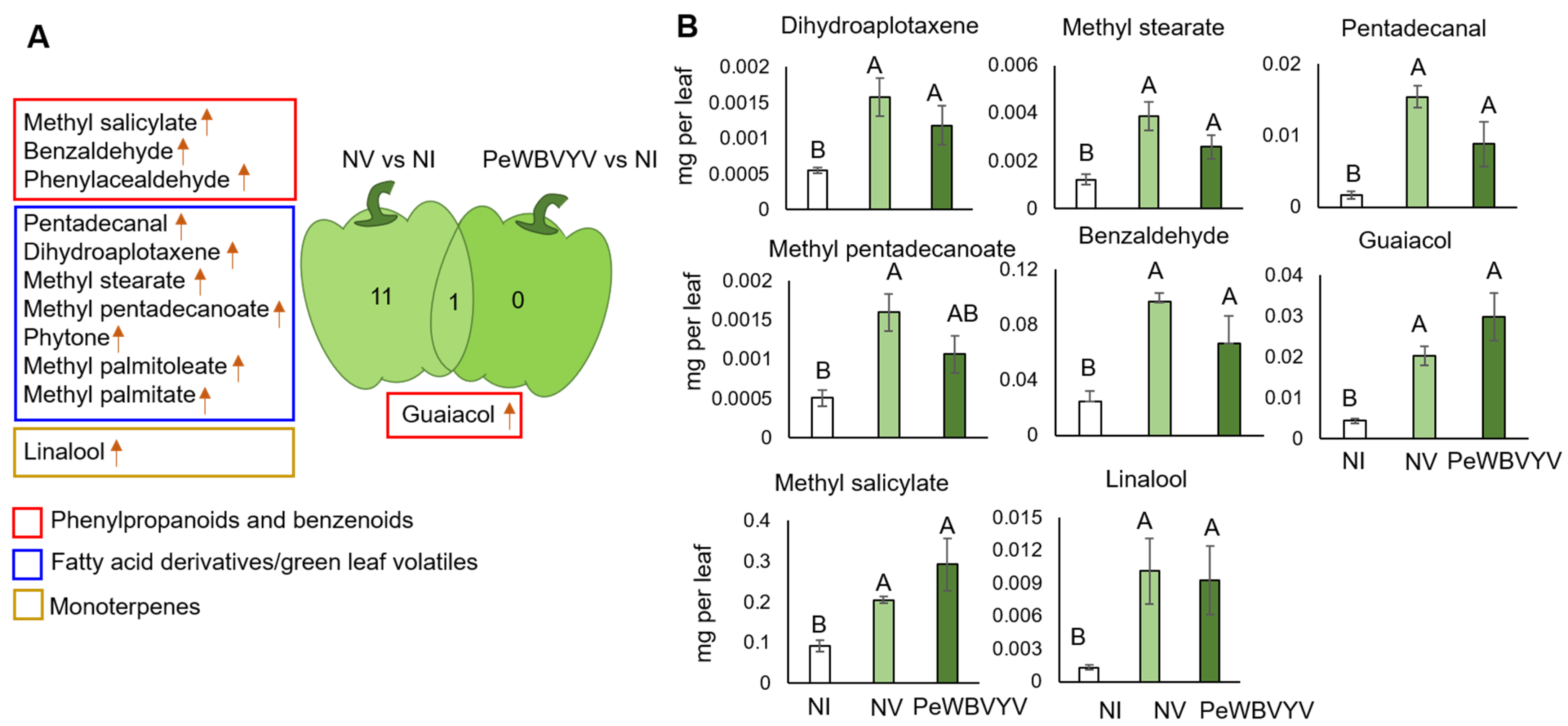 Insects 13 00840 g003 550