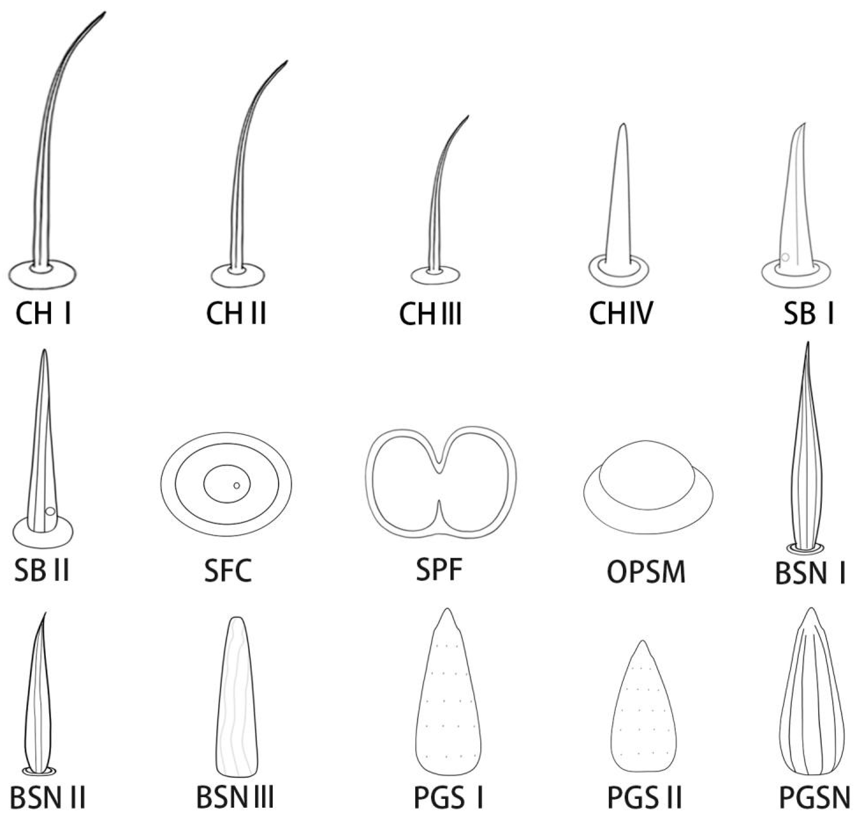 Insects 13 00843 g003