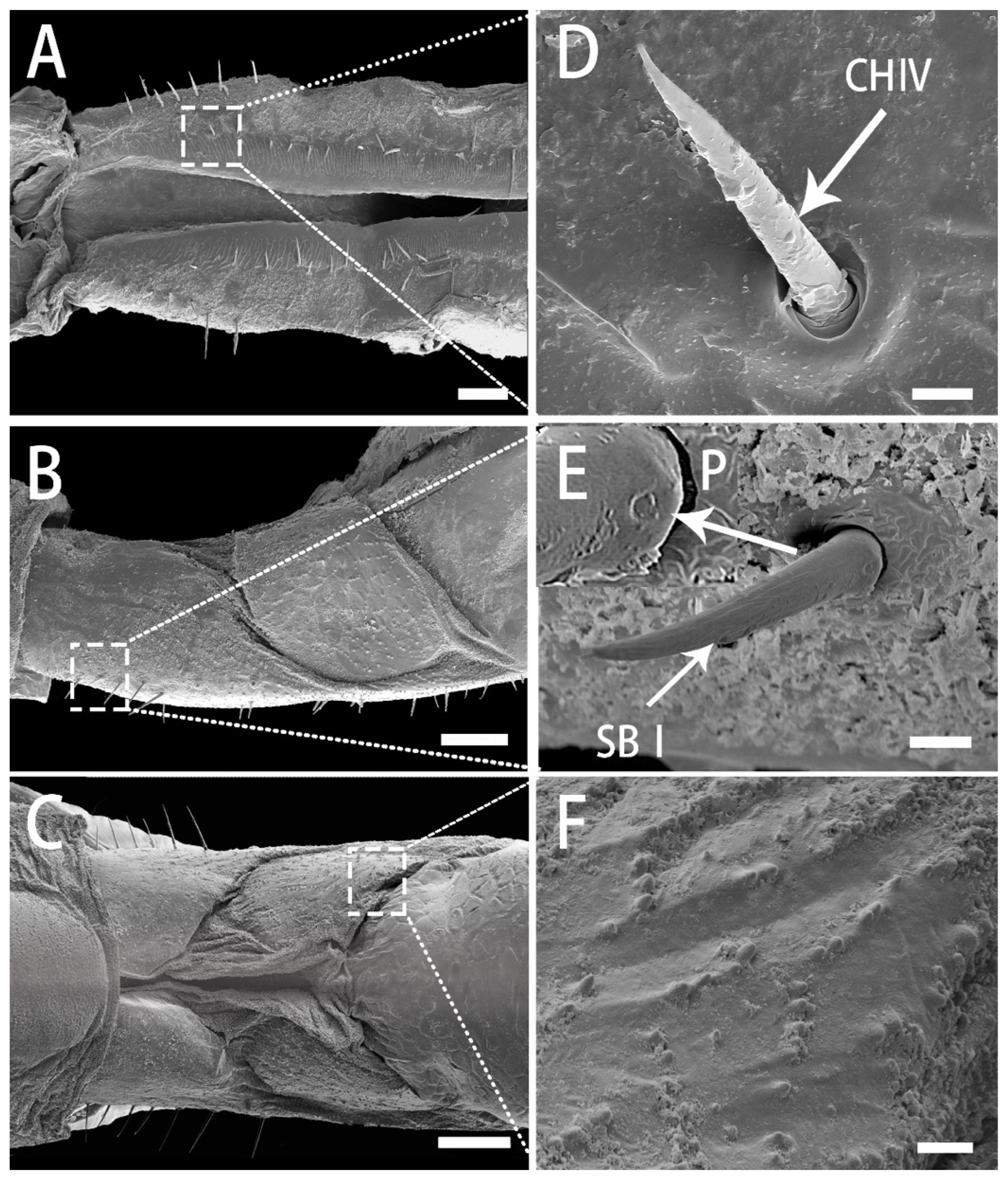 Insects 13 00843 g005