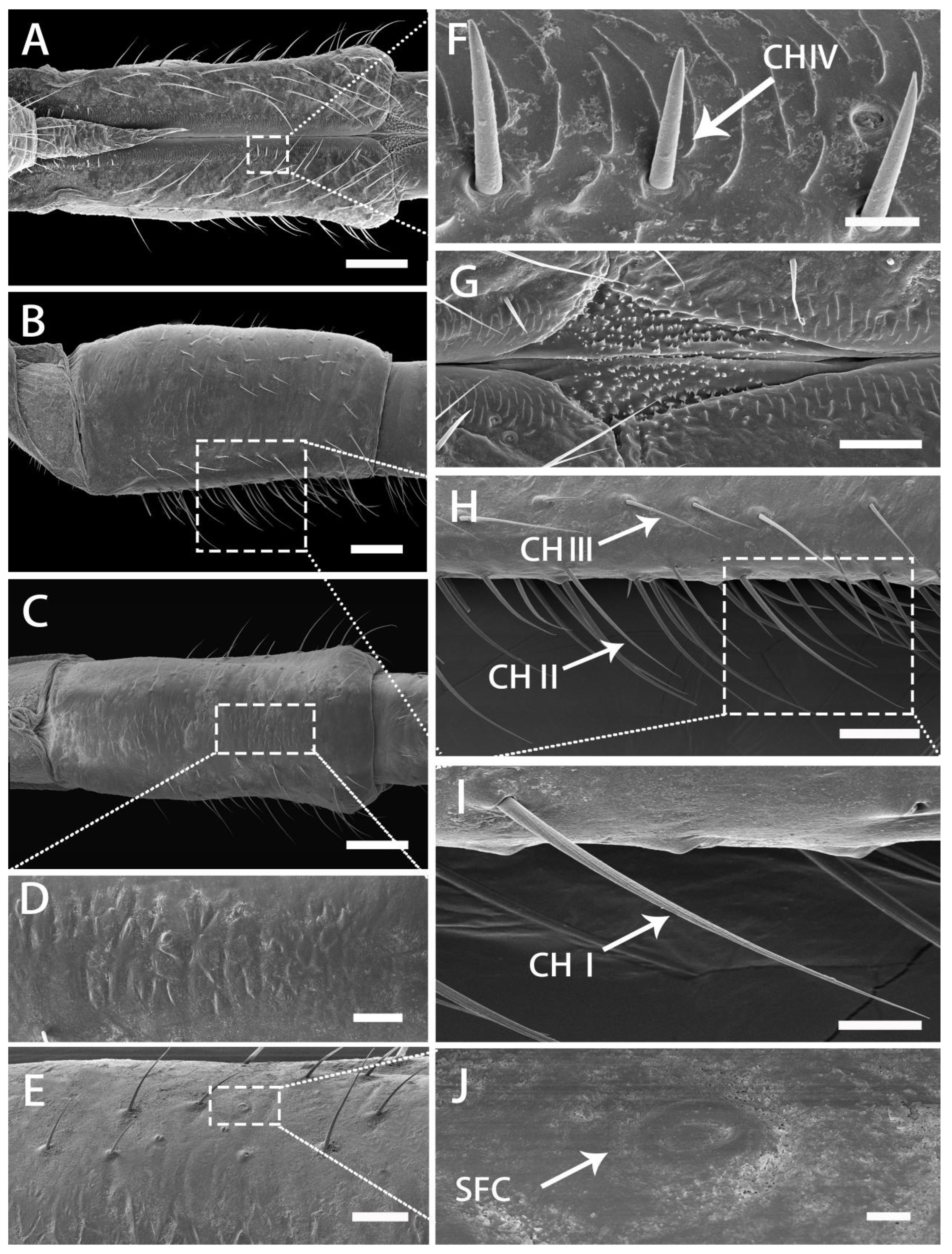 Insects 13 00843 g006