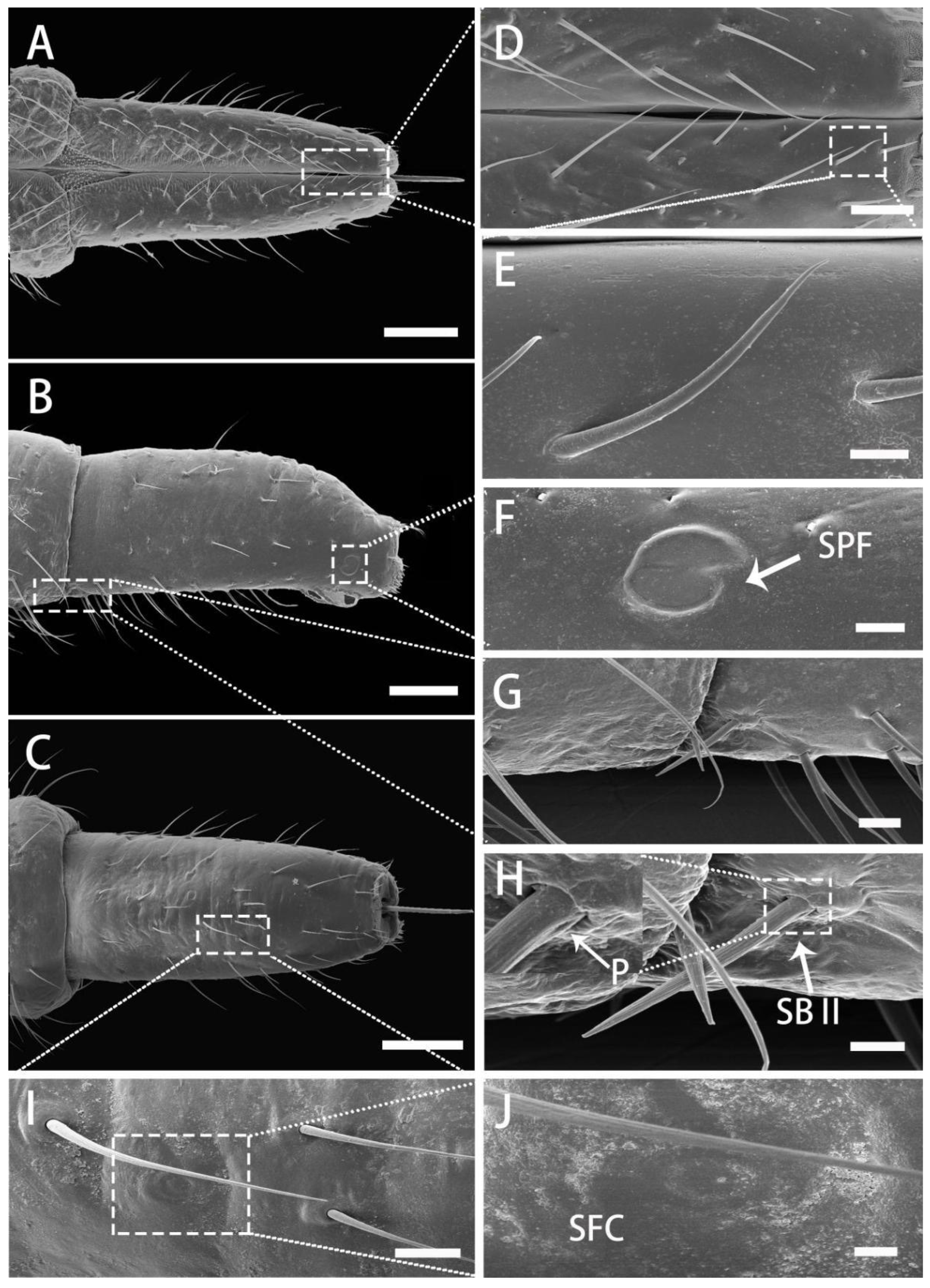 Insects 13 00843 g007