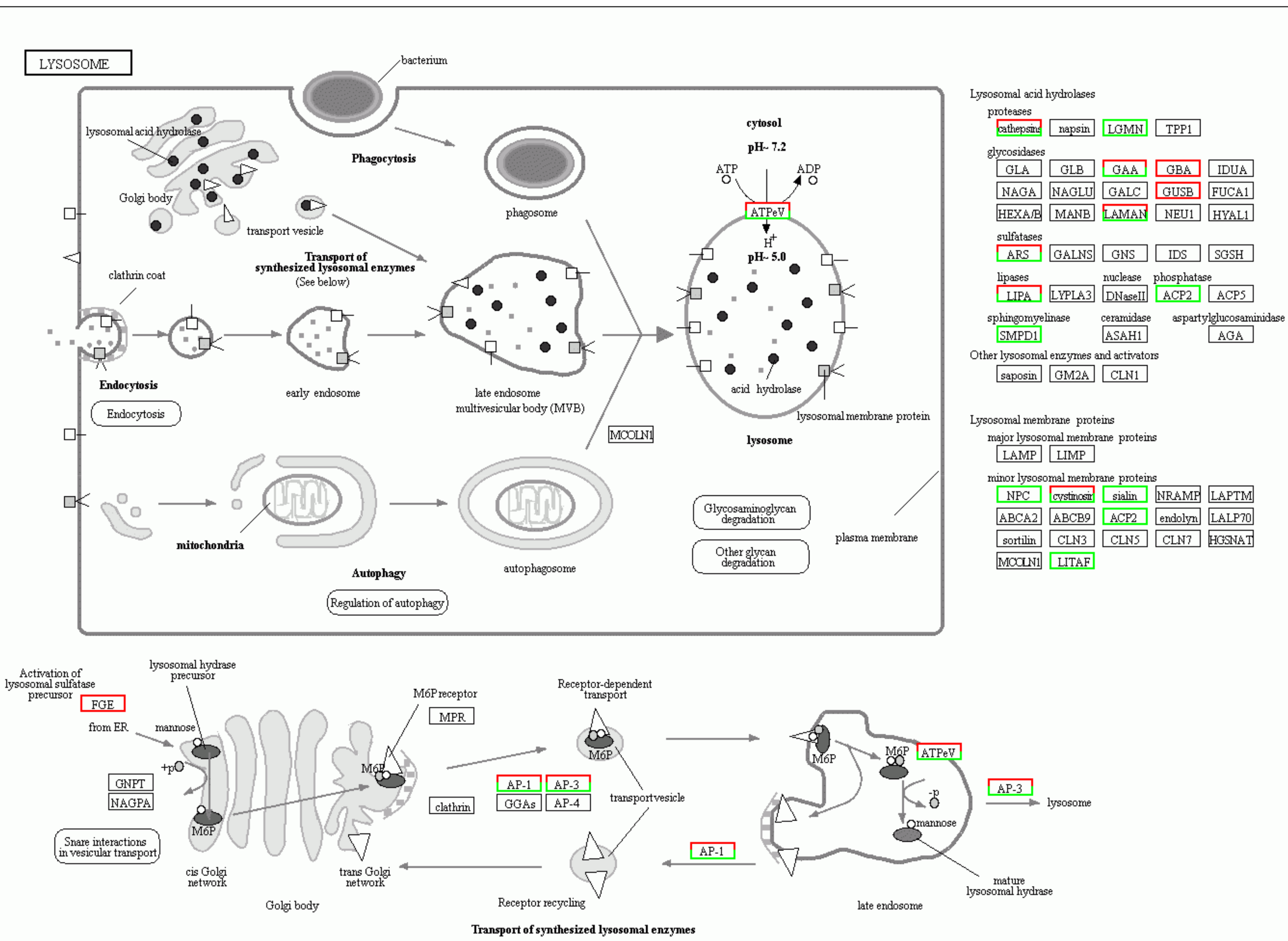 Insects 13 00850 g009 Insects 13 00850 g009