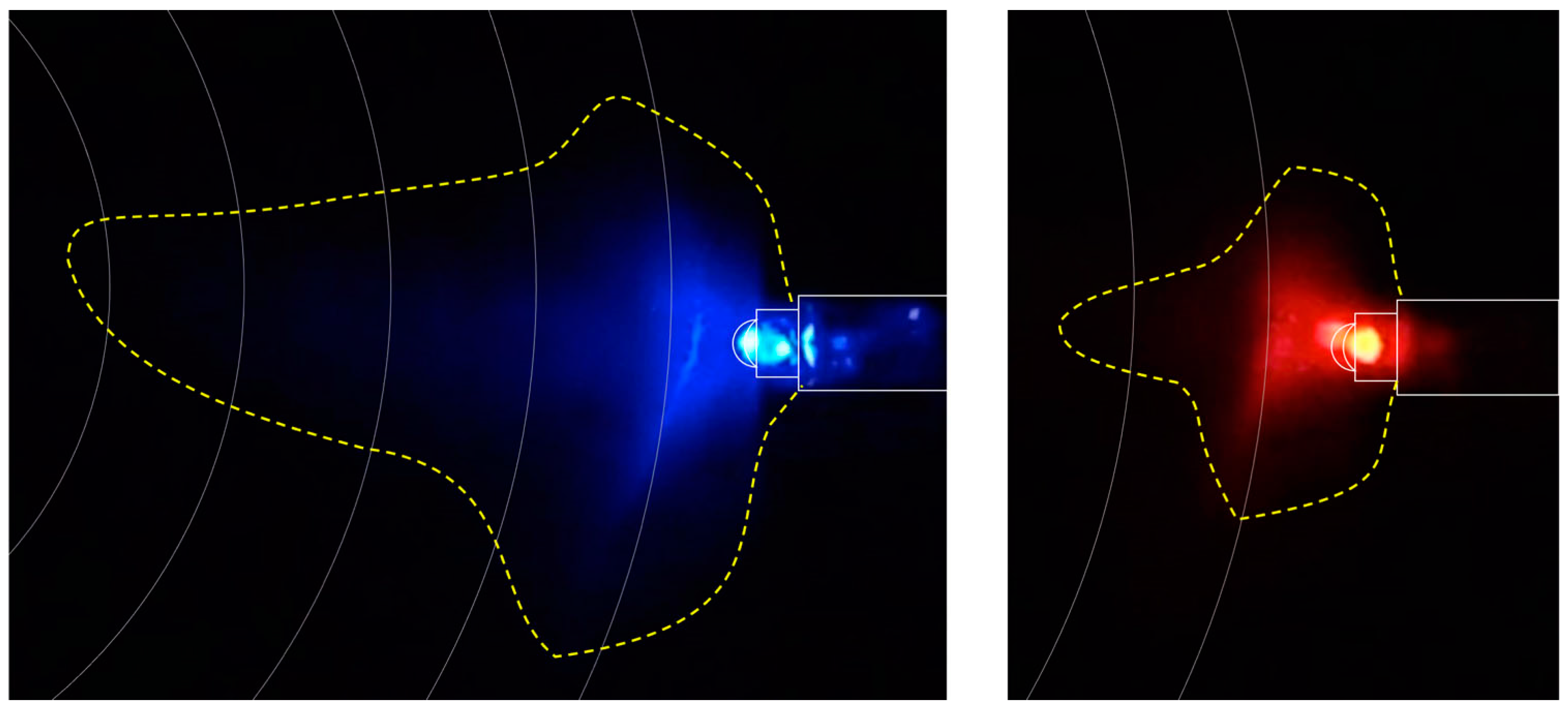Insects 13 00851 g002