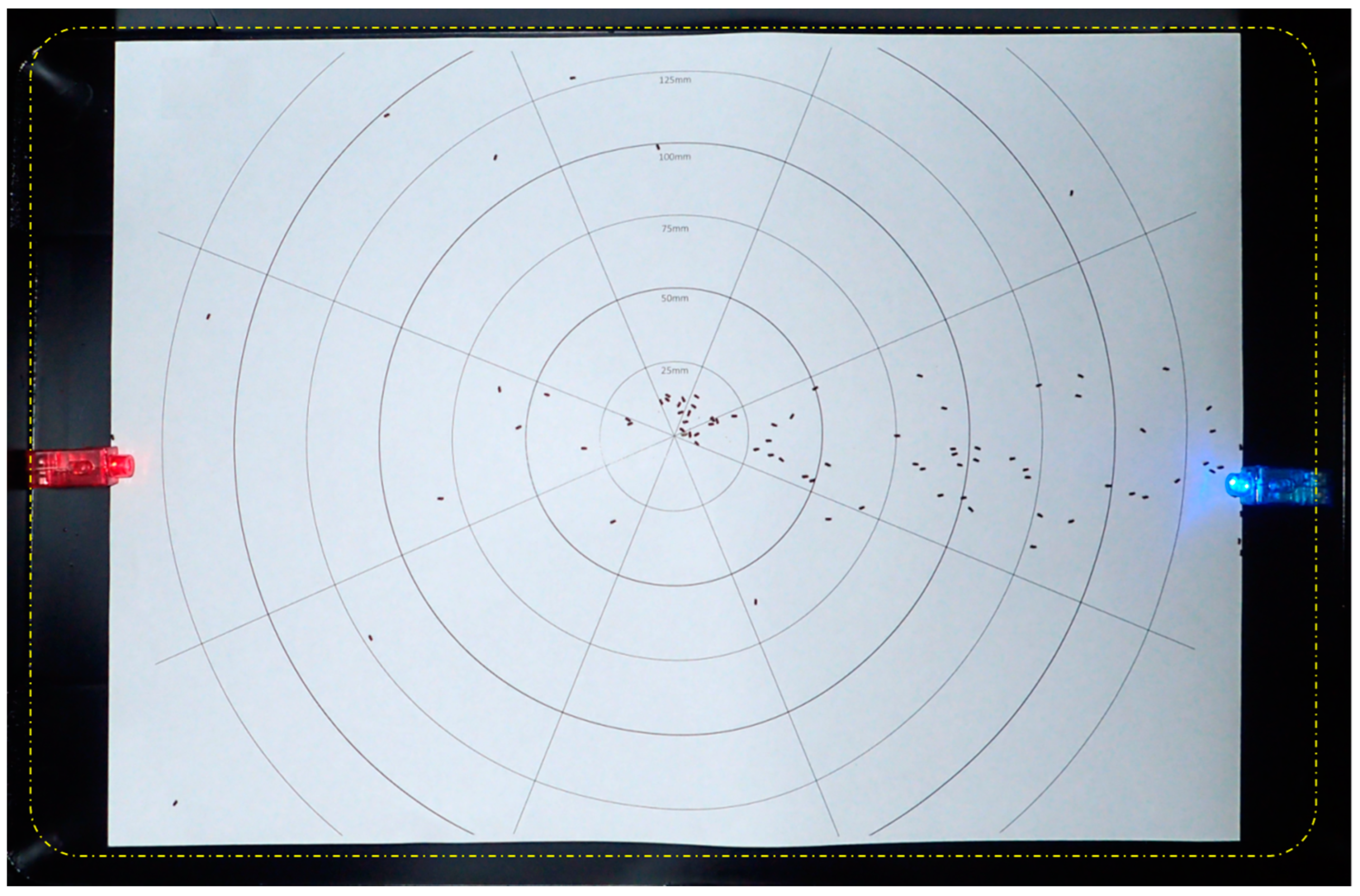 Insects 13 00851 g004