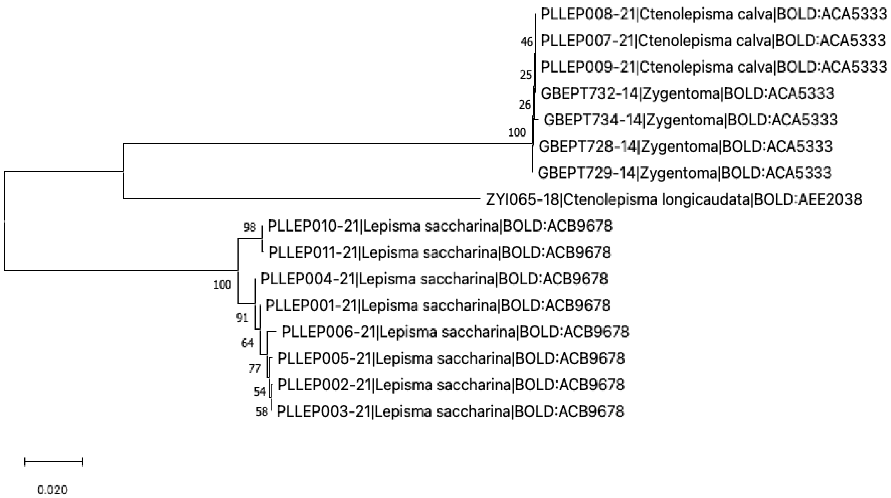 Insects 13 00855 g007 Insects 13 00855 g007