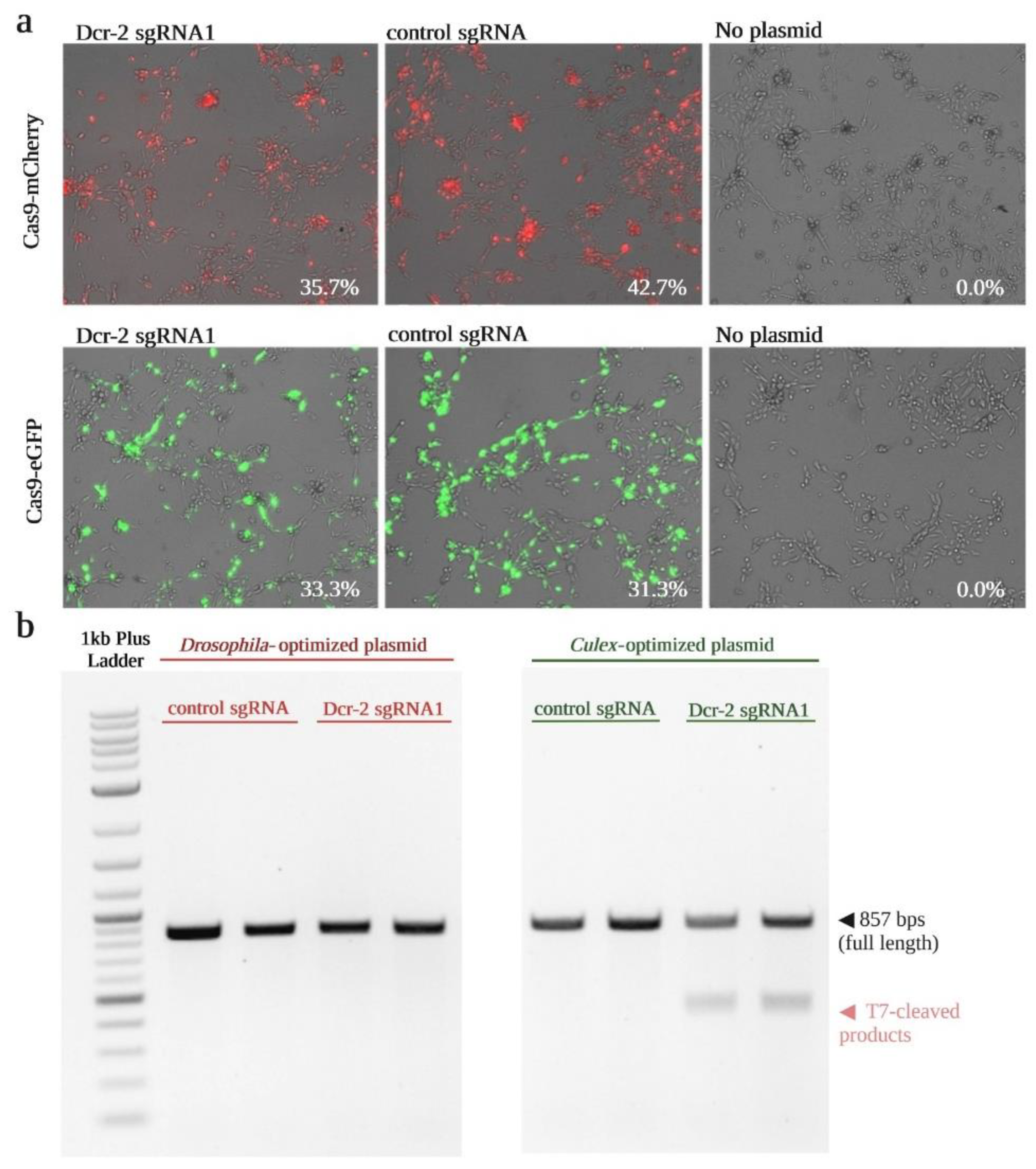 Insects 13 00856 g003 Insects 13 00856 g003