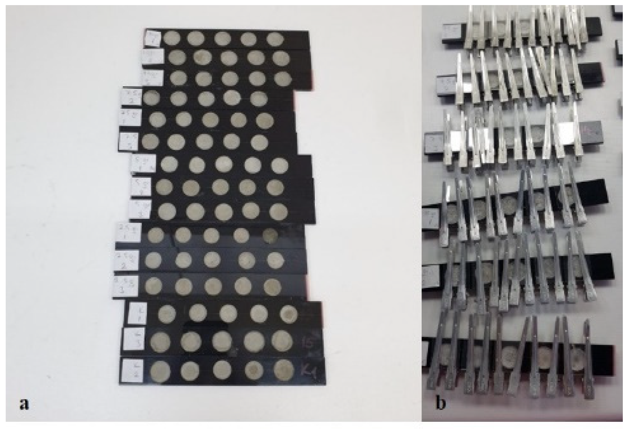 Insects 13 00857 g001 Insects 13 00857 g001