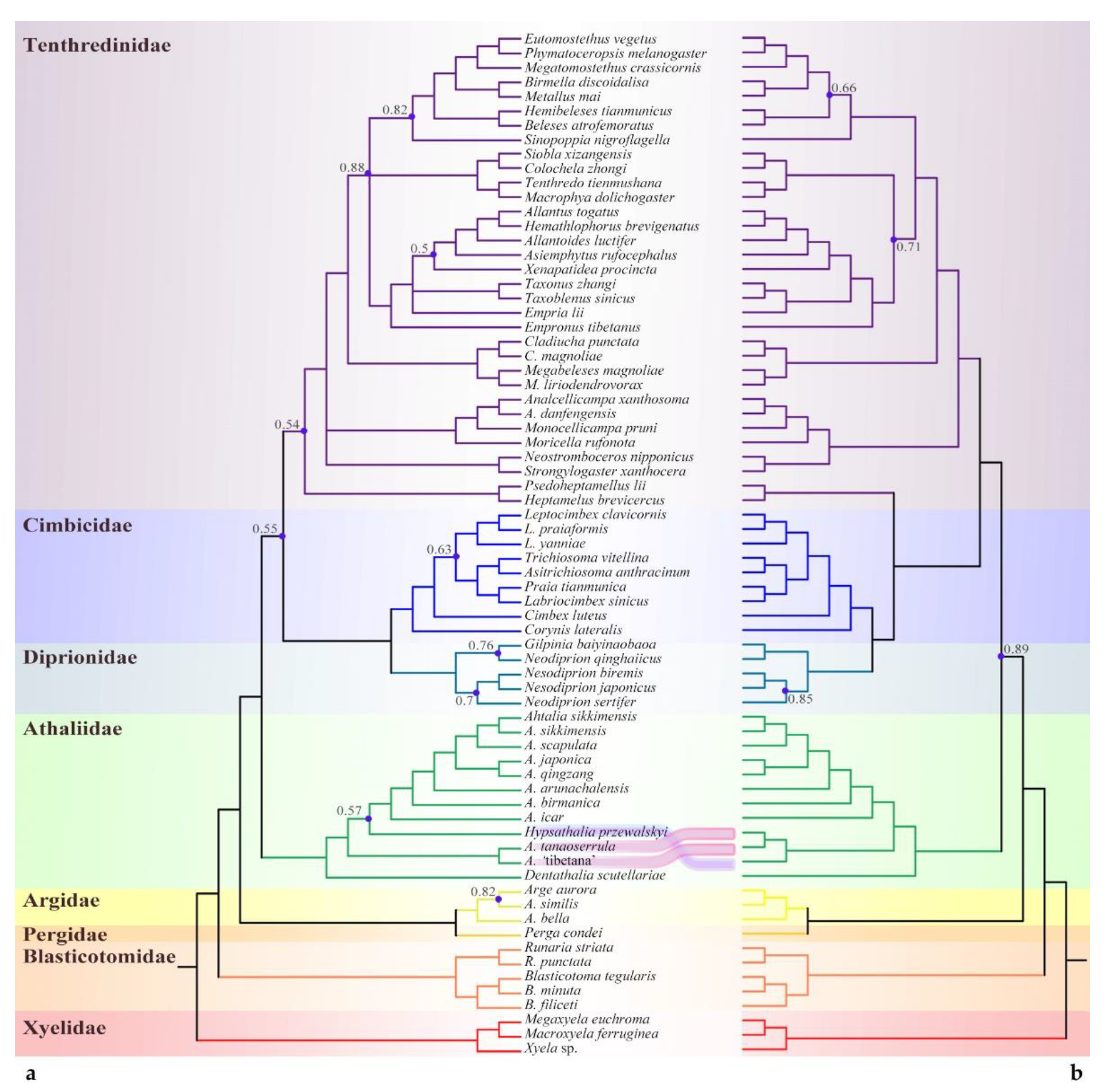 Insects 13 00858 g003