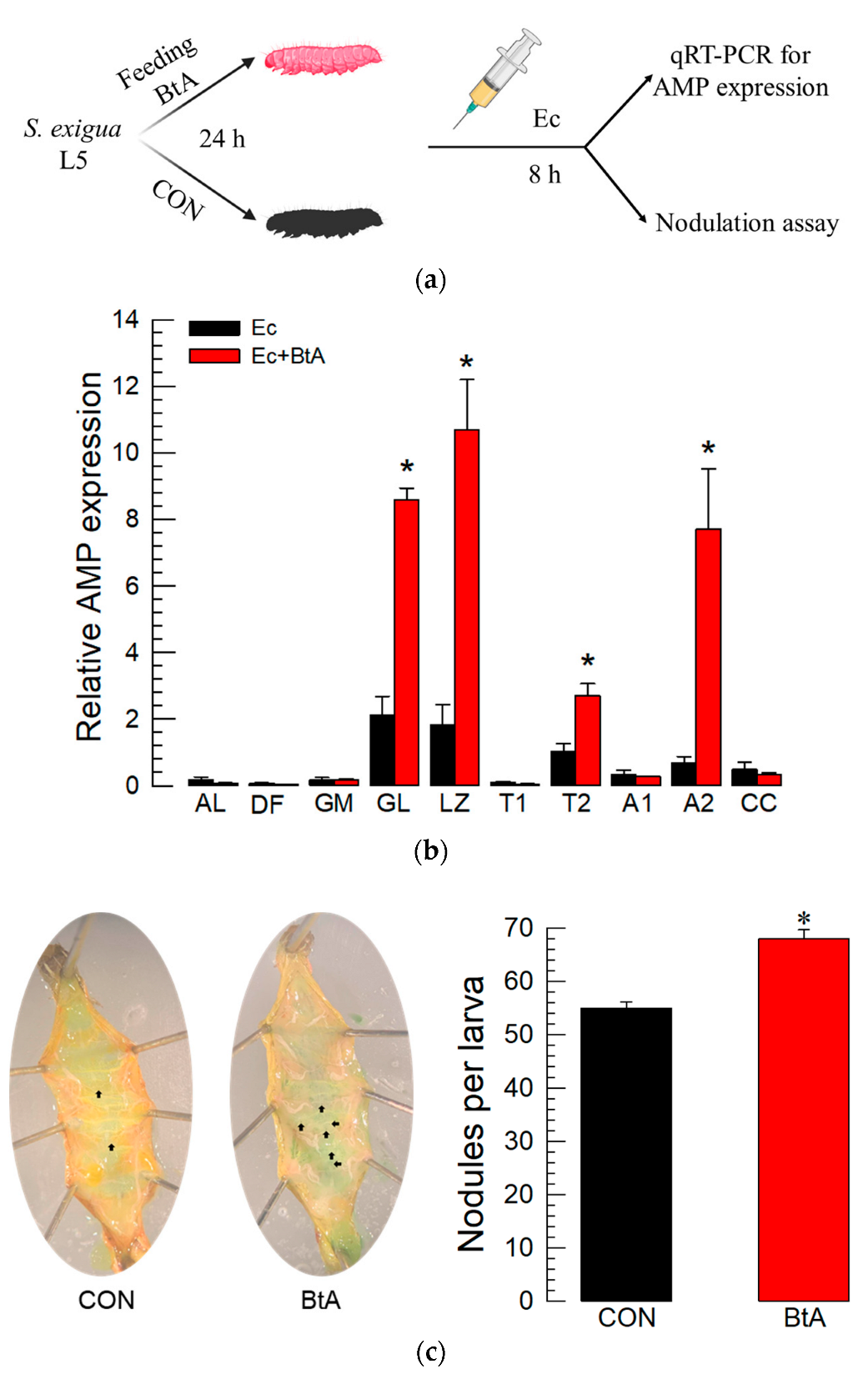Insects 13 00860 g003 Insects 13 00860 g003