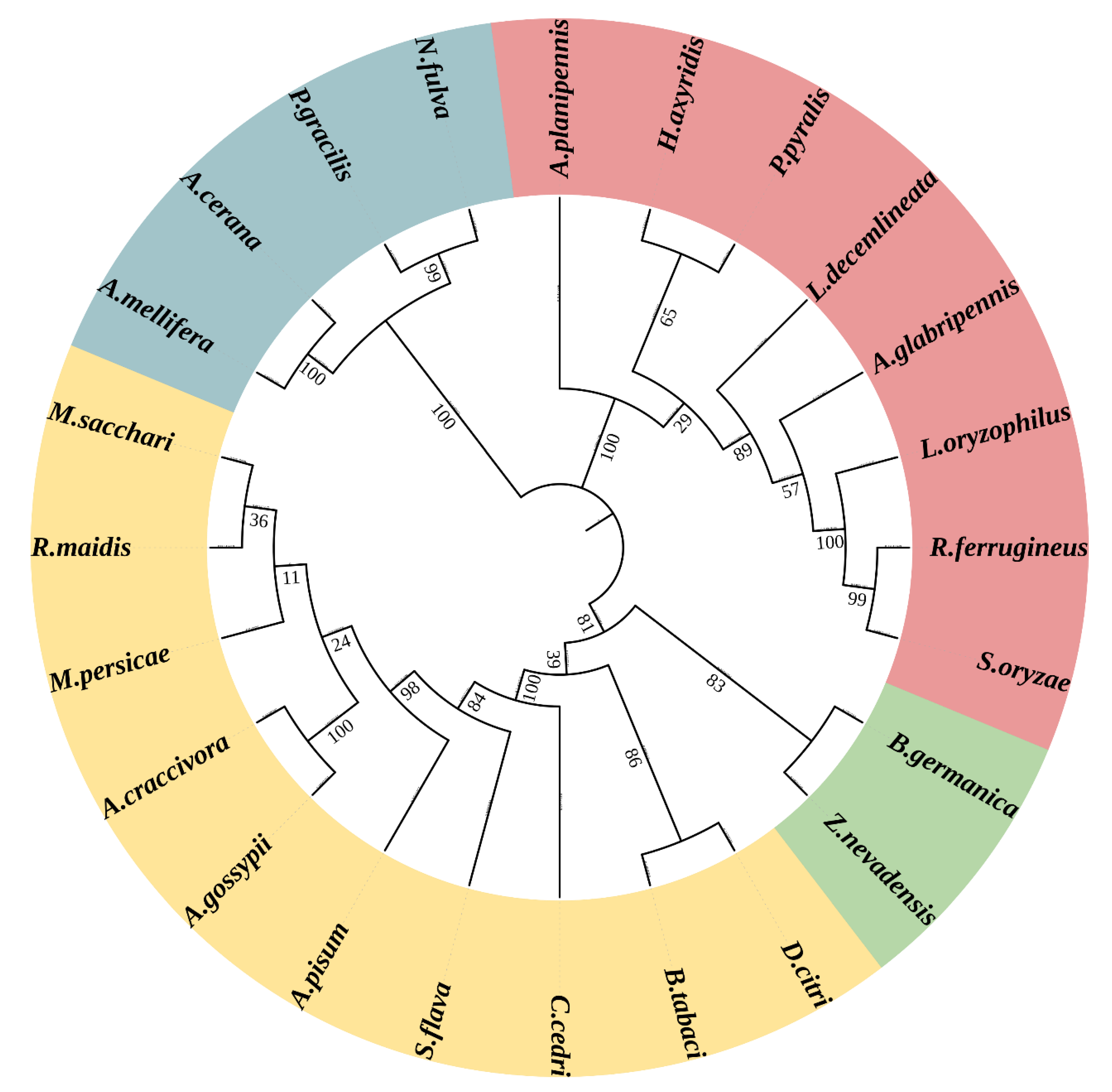 Insects 13 00867 g003 550