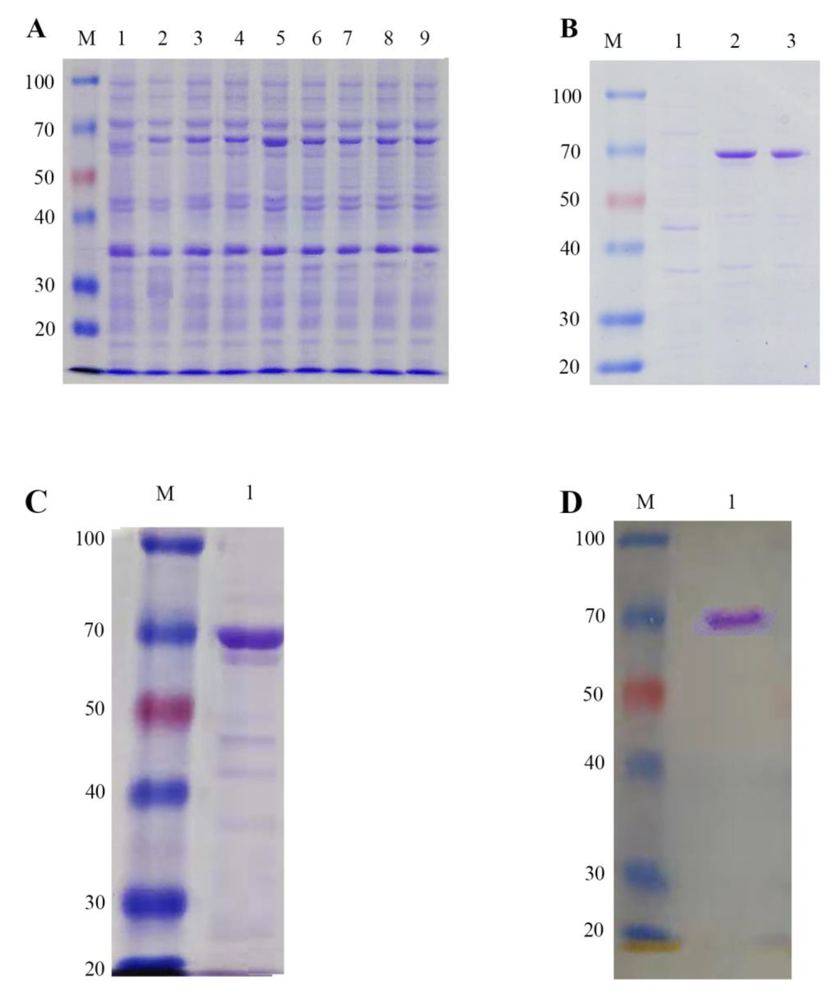 Insects 13 00867 g008 550