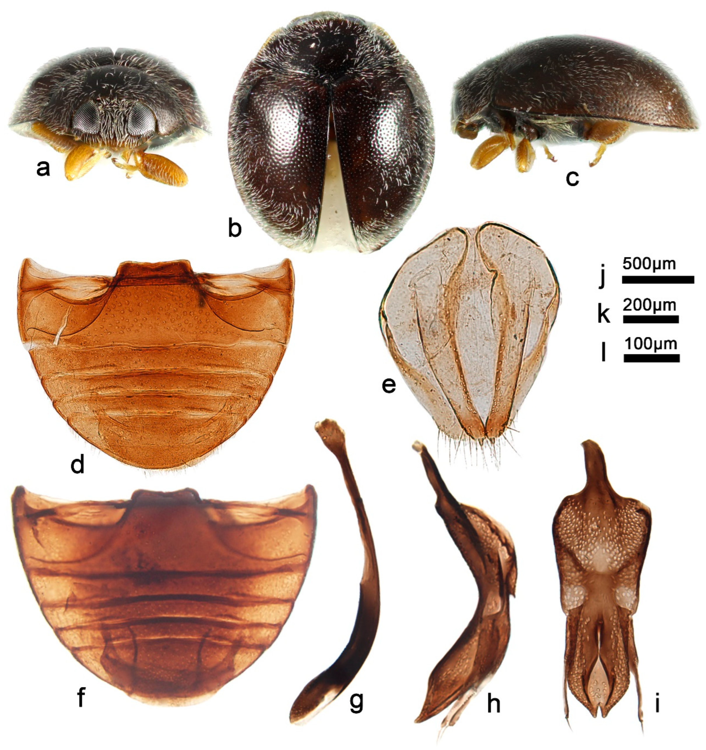 Insects 13 00869 g023