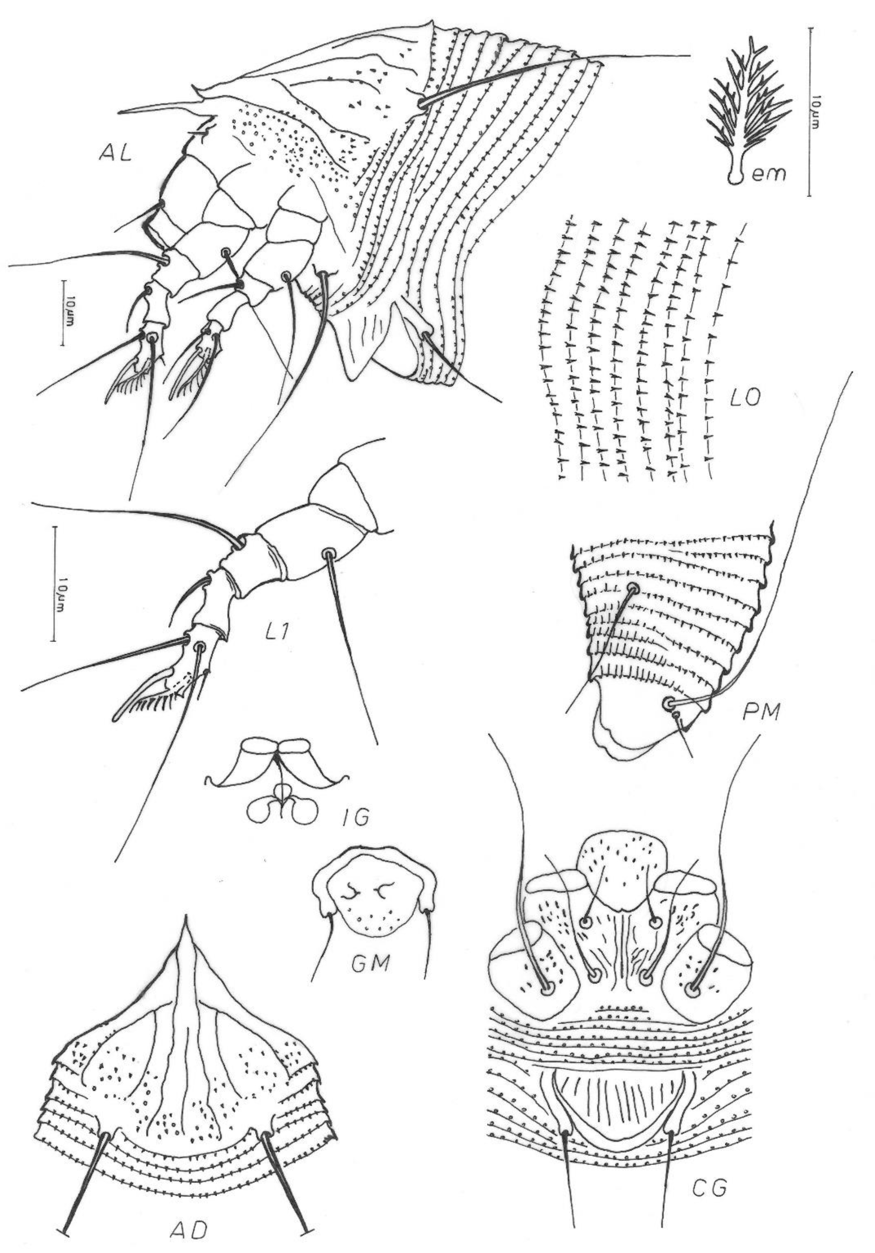 Insects 13 00877 g003 Insects 13 00877 g003