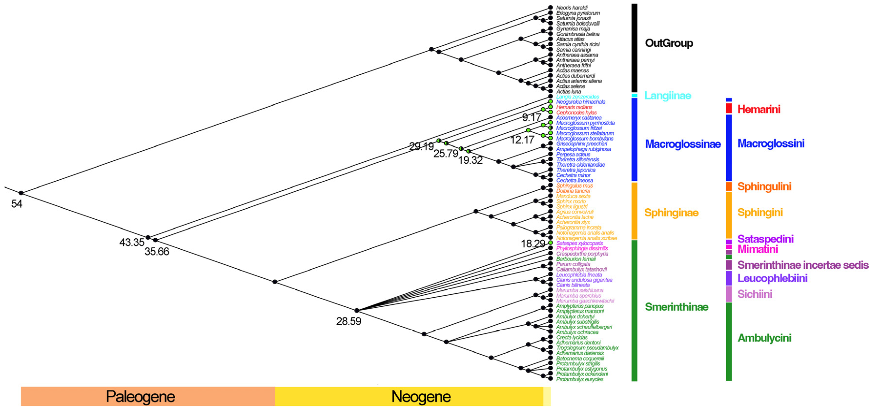 Insects 13 00887 g004