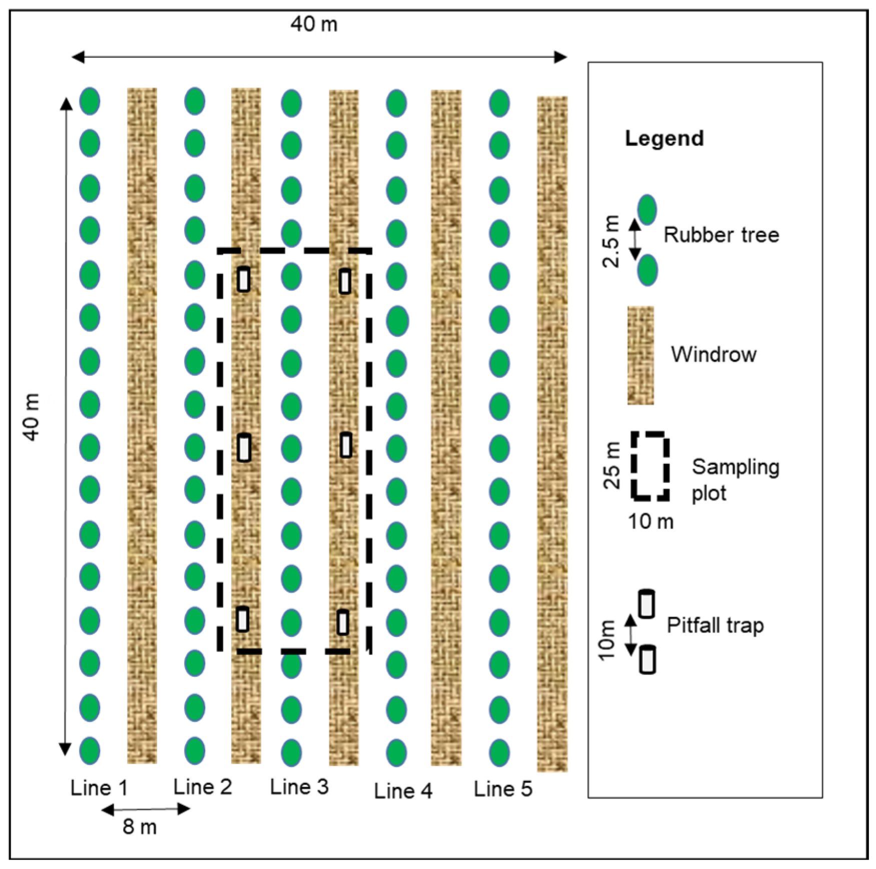 Insects 13 00892 g001 Insects 13 00892 g001