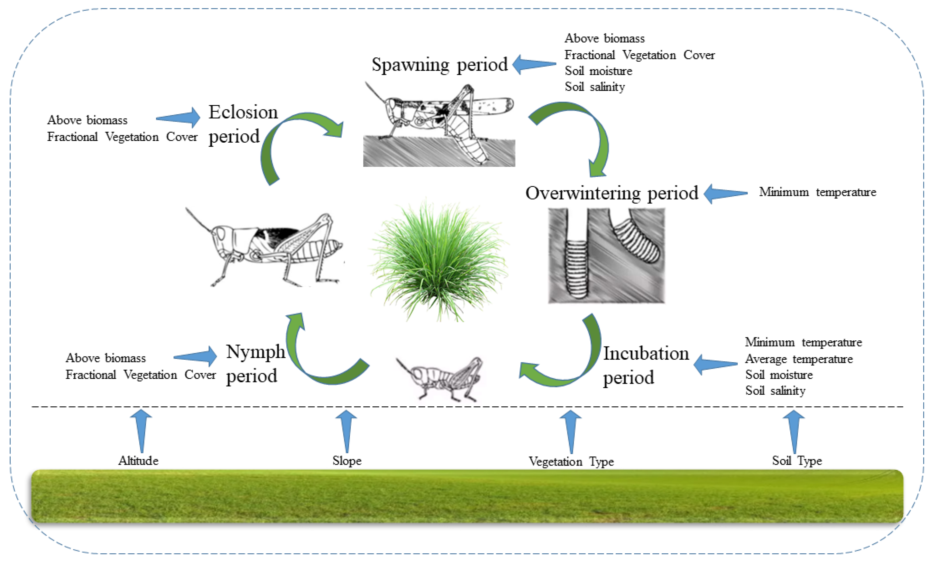 Insects 13 00894 g001 Insects 13 00894 g001