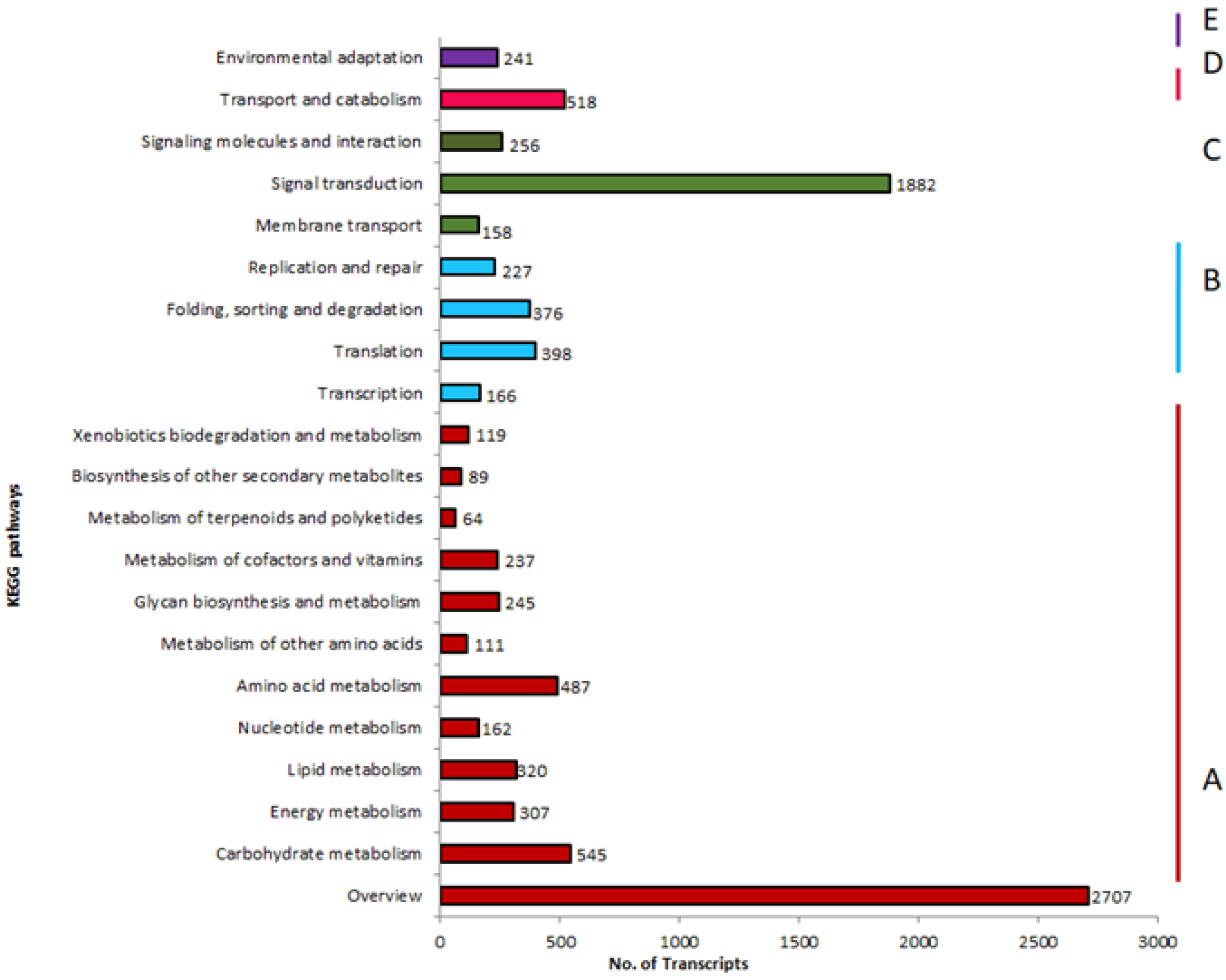 Insects 13 00900 g004