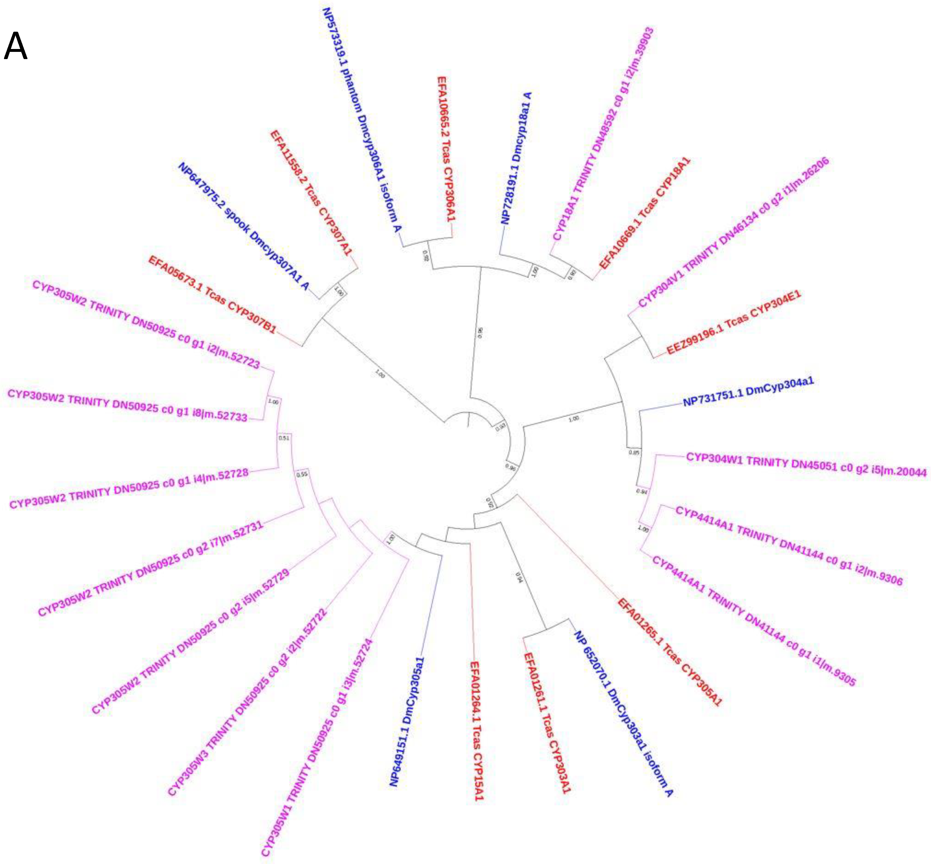 Insects 13 00900 g006a